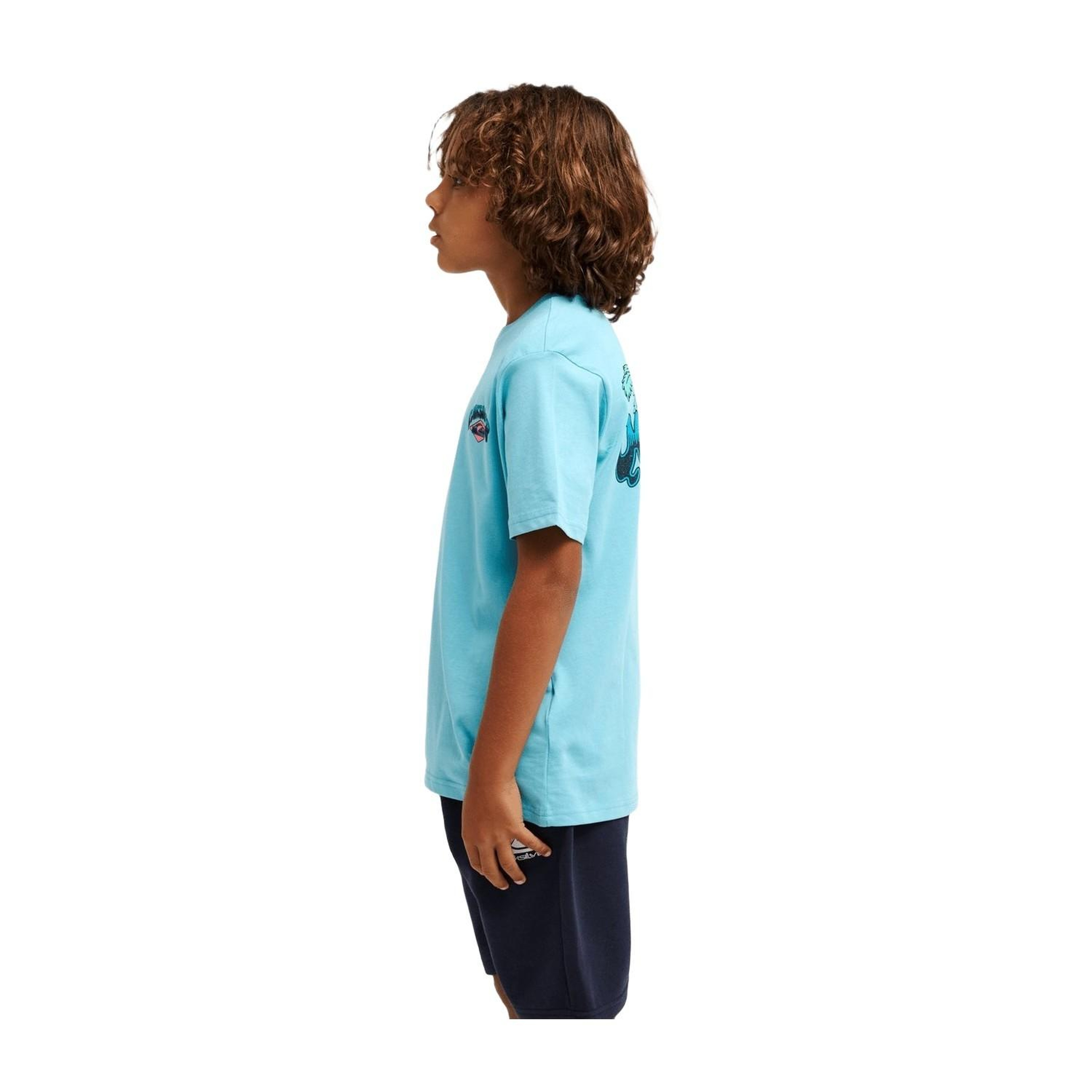Quiksilver Palm Horizon Erkek Çocuk Mavi Tişört