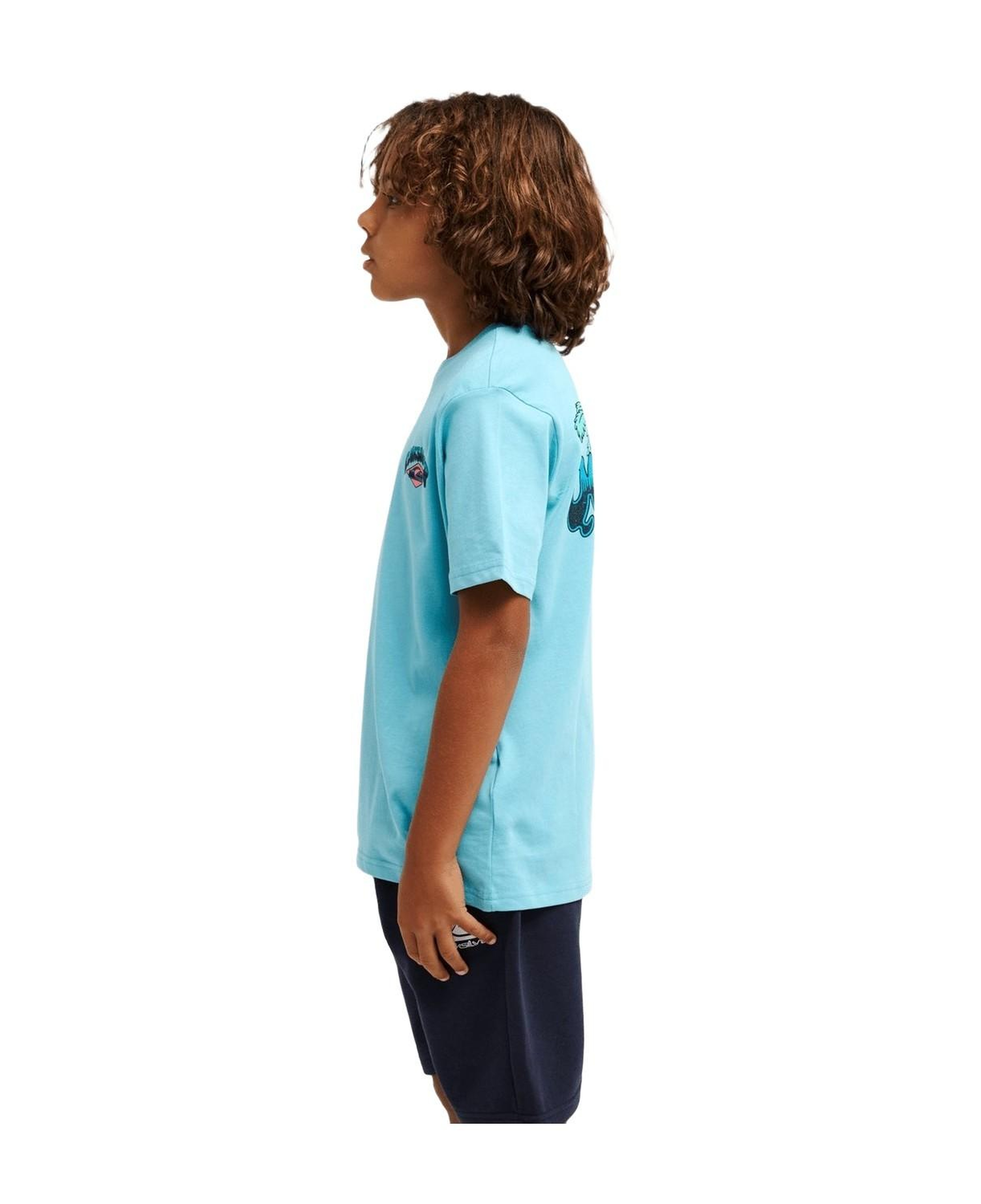 Quiksilver Palm Horizon Erkek Çocuk Mavi Tişört