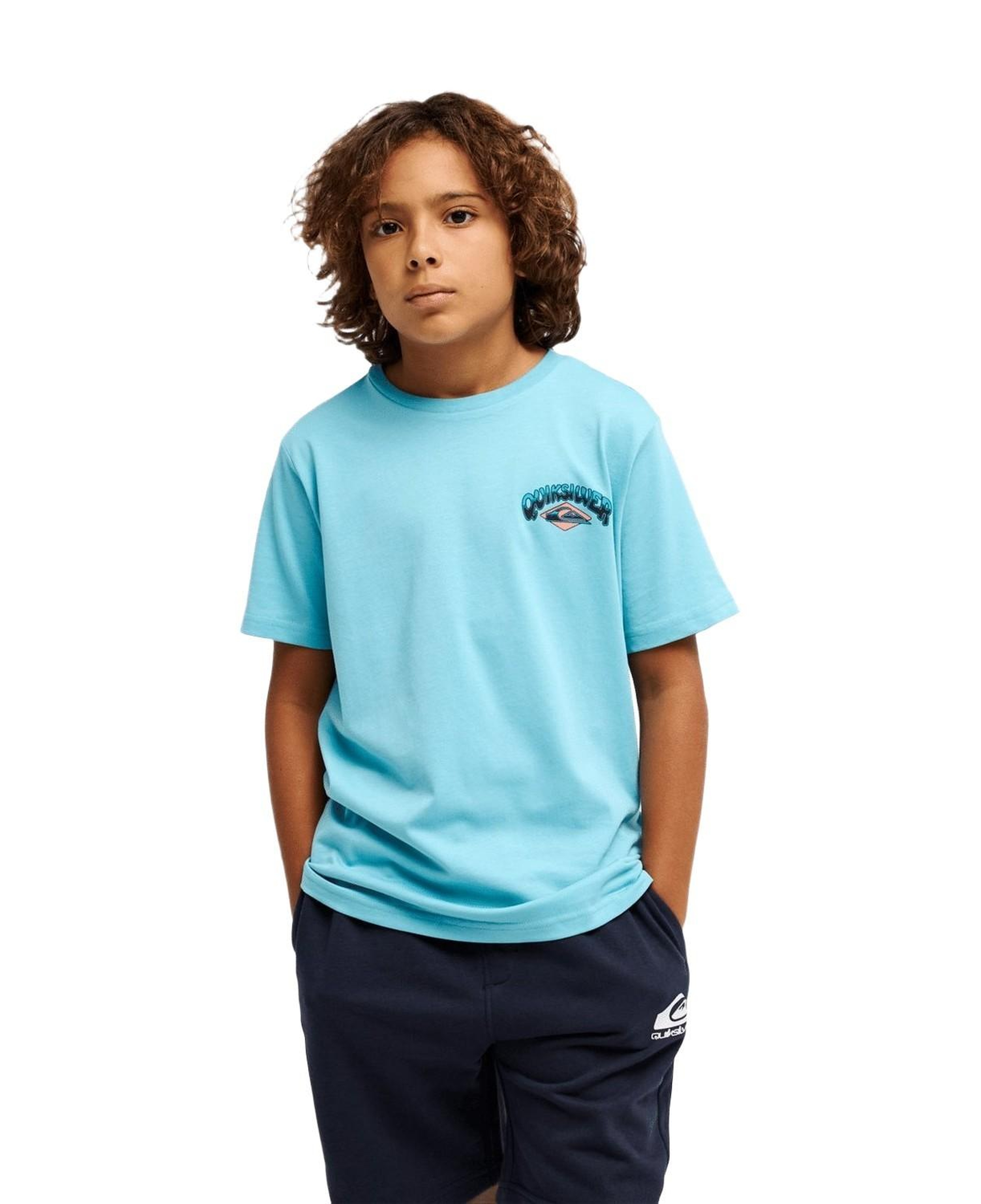 Quiksilver Palm Horizon Erkek Çocuk Mavi Tişört