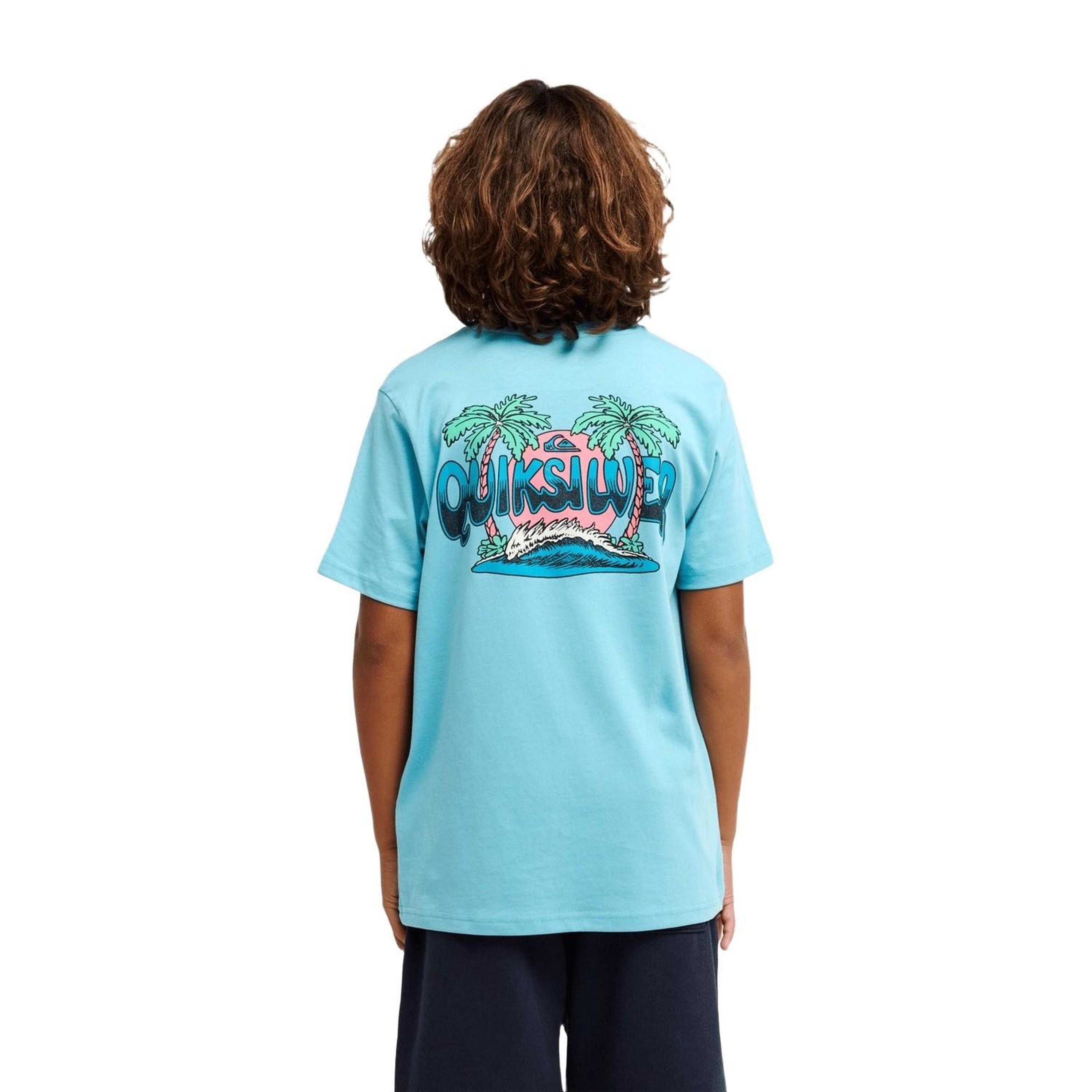 Quiksilver Palm Horizon Erkek Çocuk Mavi Tişört