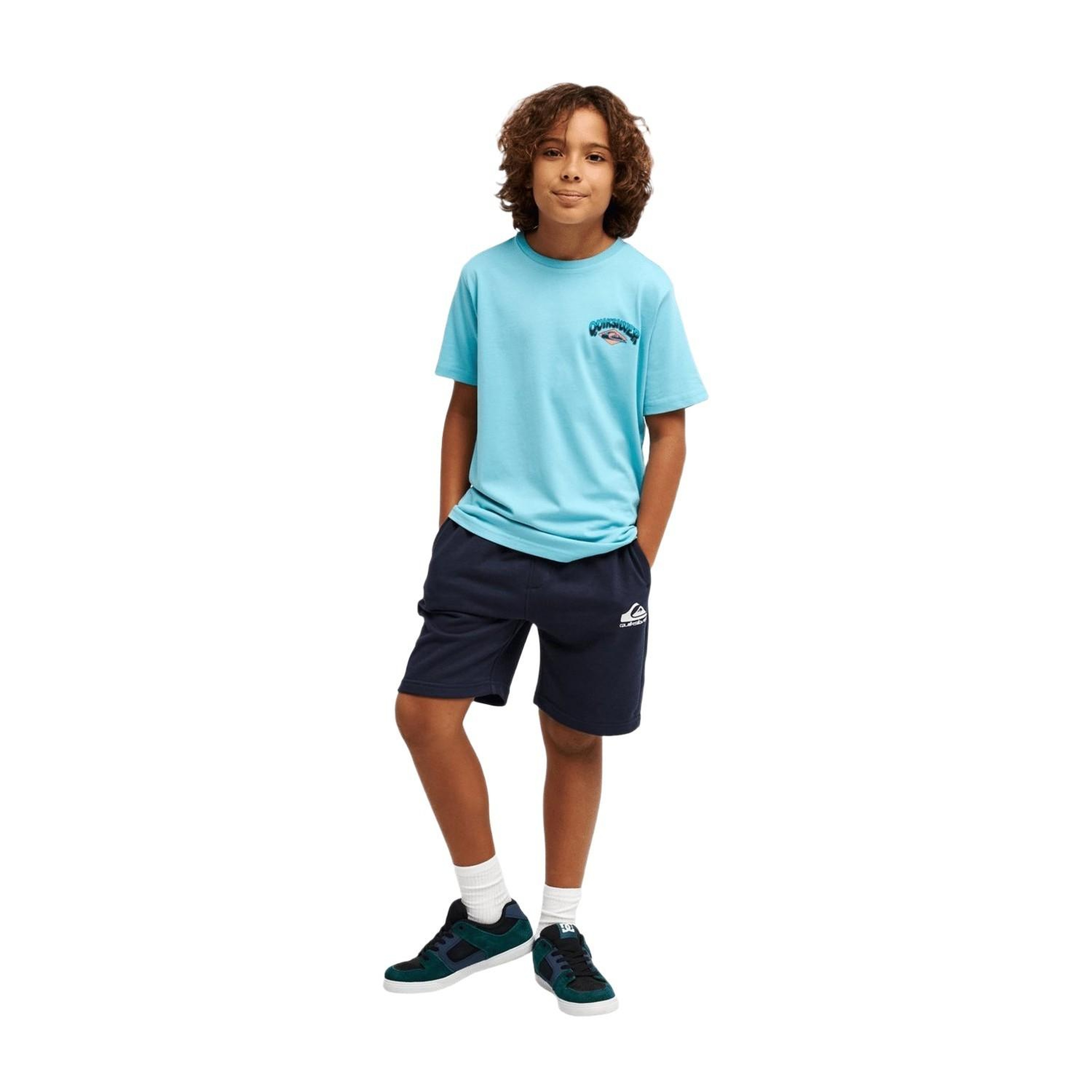 Quiksilver Palm Horizon Erkek Çocuk Mavi Tişört