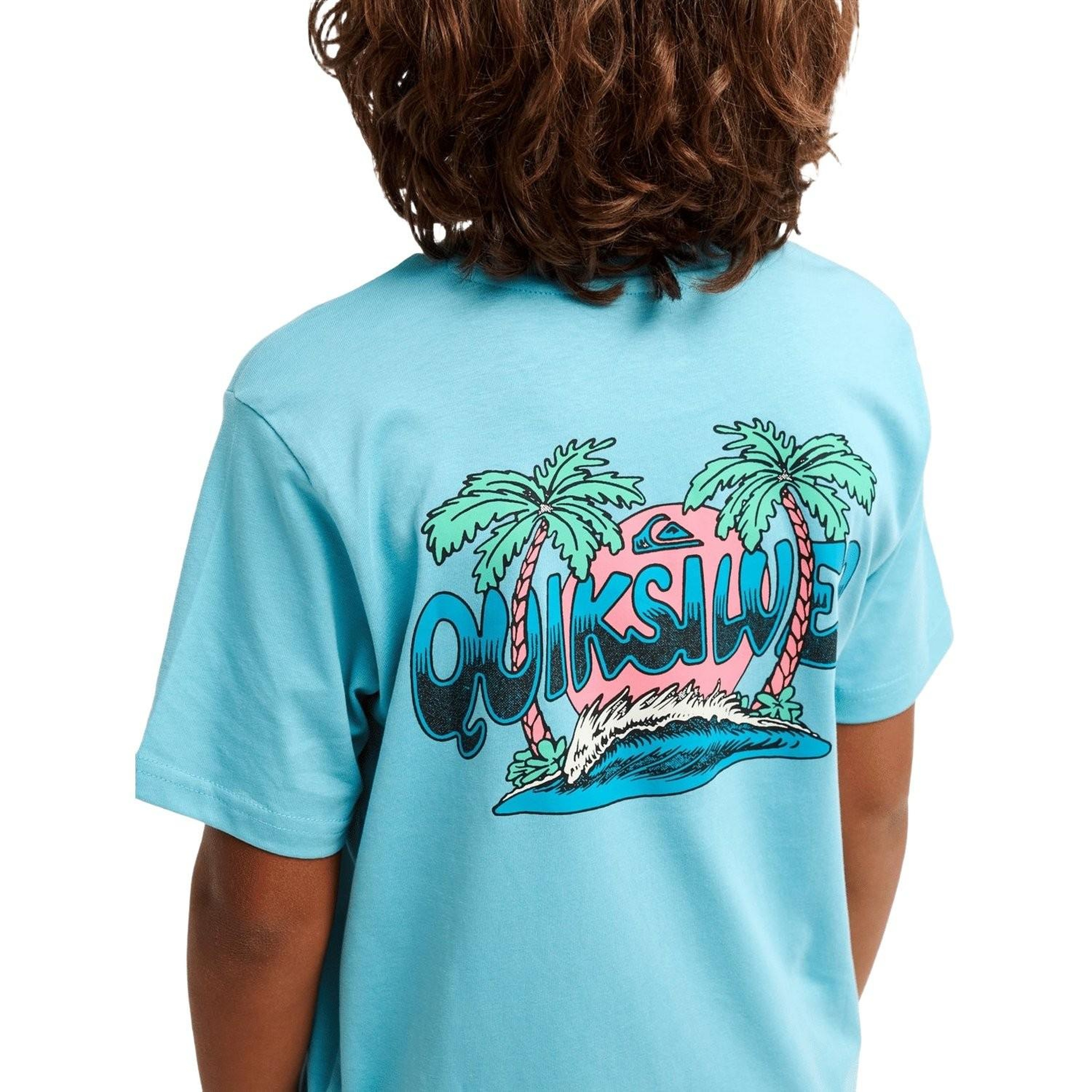 Quiksilver Palm Horizon Erkek Çocuk Mavi Tişört