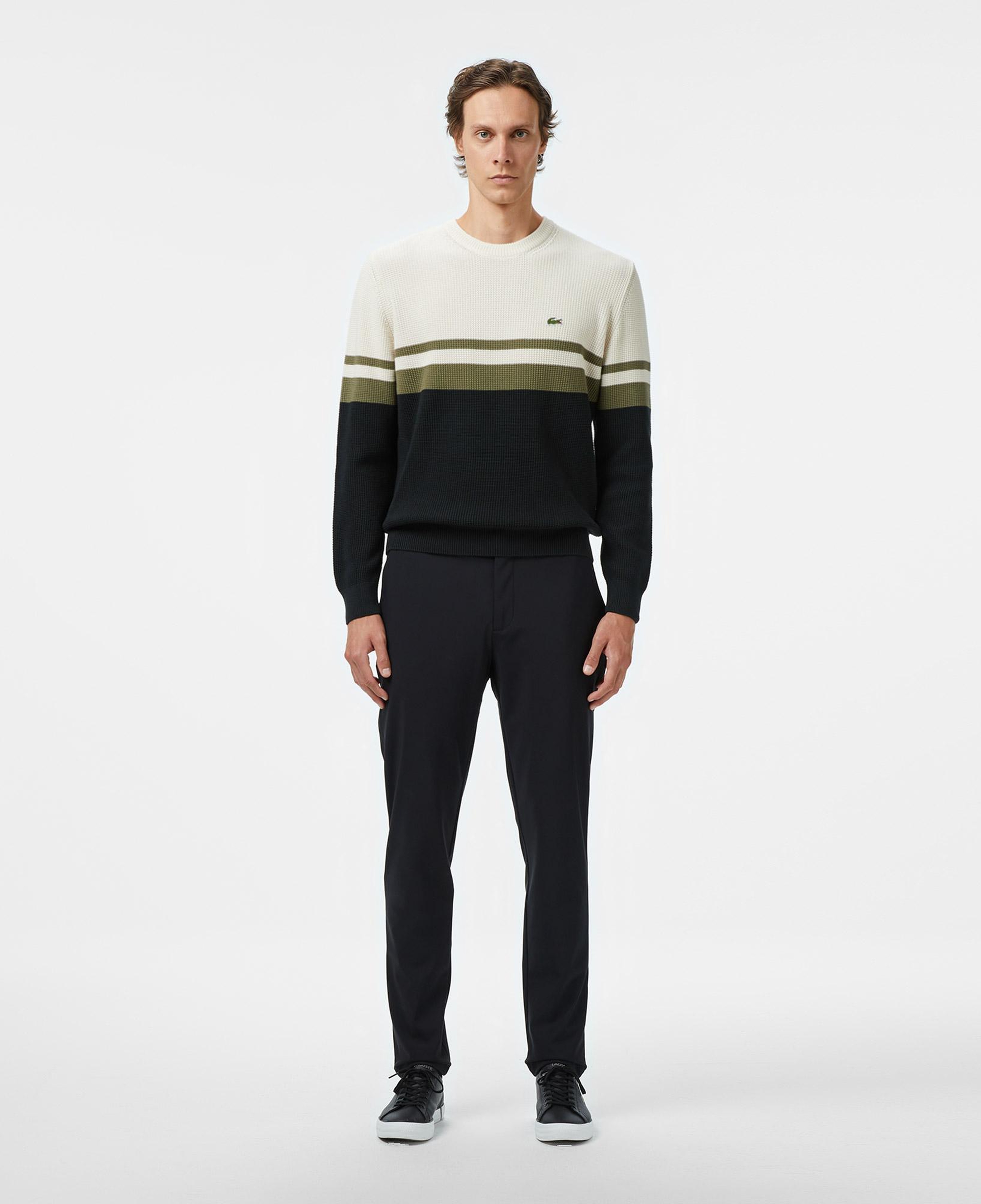 Erkek Classic Fit Bisiklet Yaka Renk Bloklu Siyah Kazak