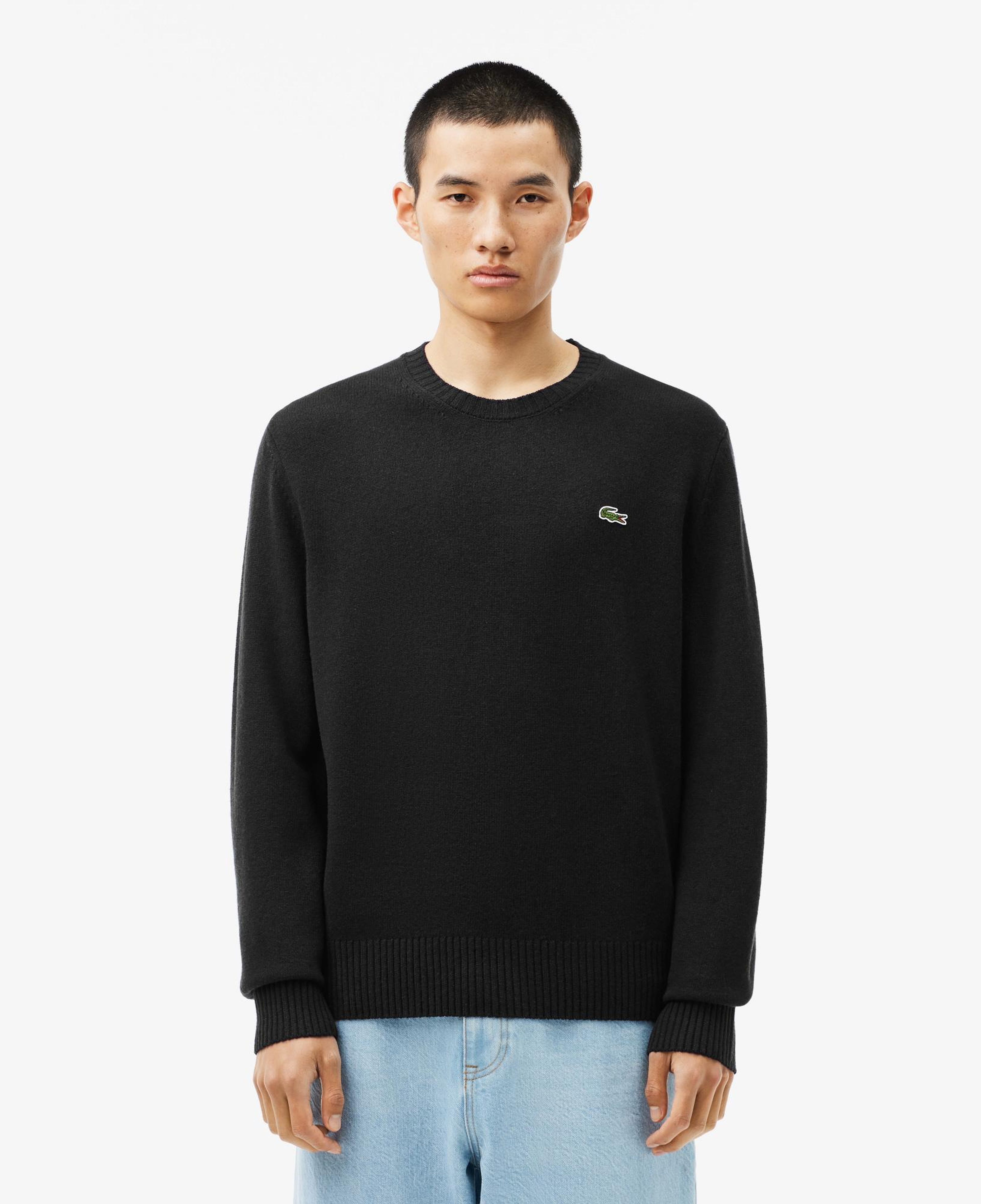 Erkek Classic Fit Bisiklet Yaka Siyah Kazak