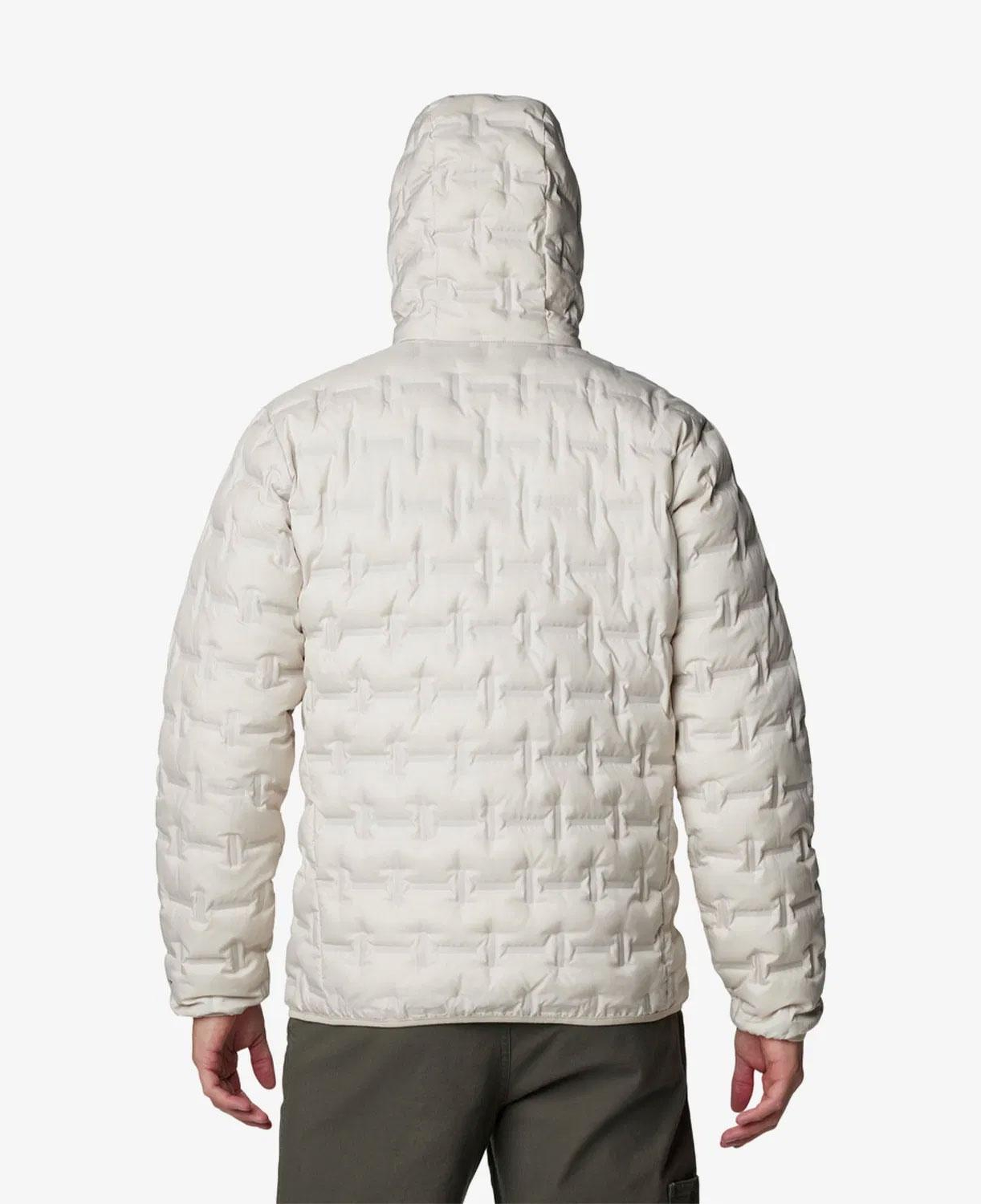 Columbia Delta Ridge II Down Hooded Erkek Krem Mont