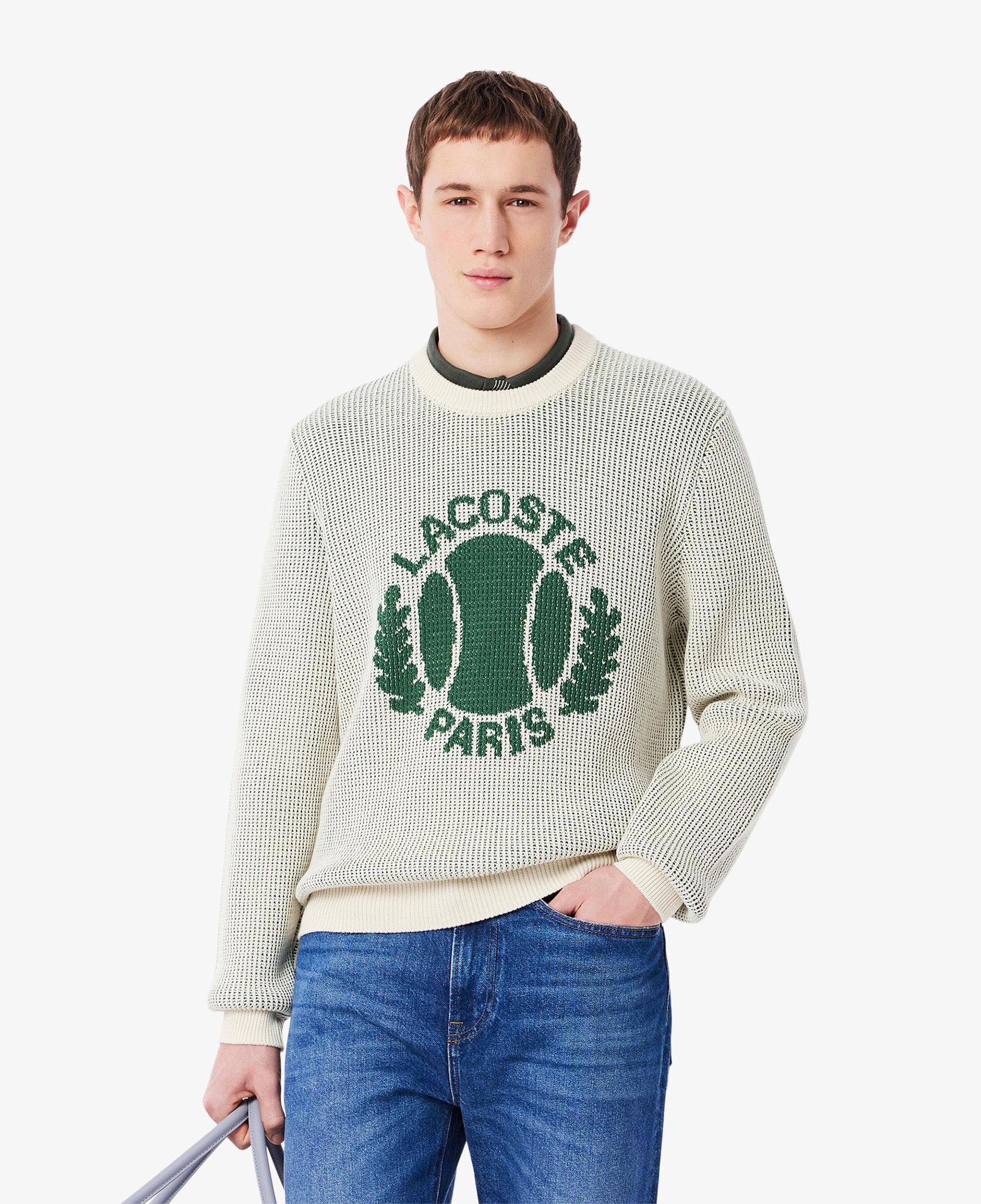 Erkek Classic Fit Bisiklet Yaka Desenli Krem Kazak