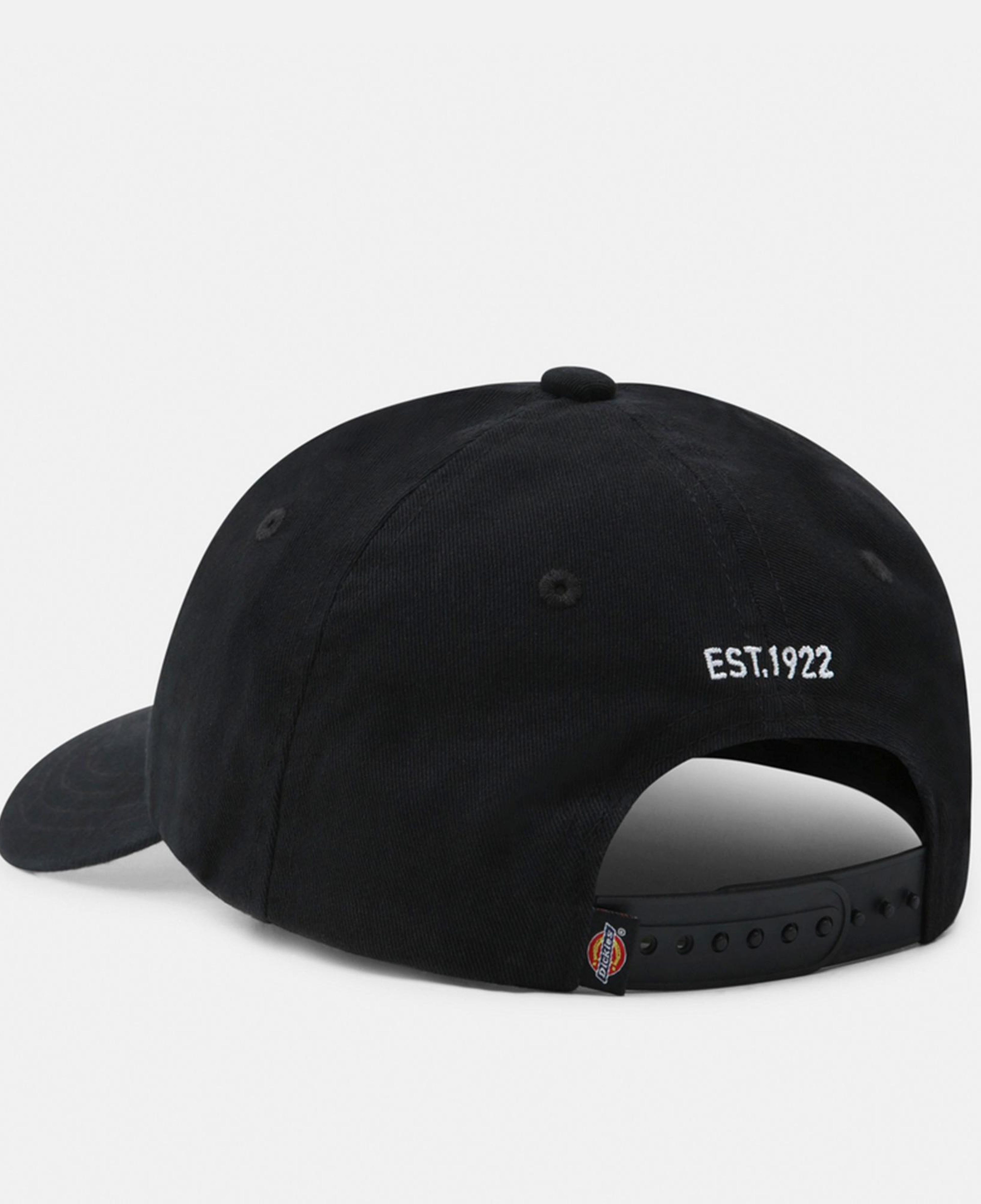 Dickies Hardwick Erkek Siyah Şapka