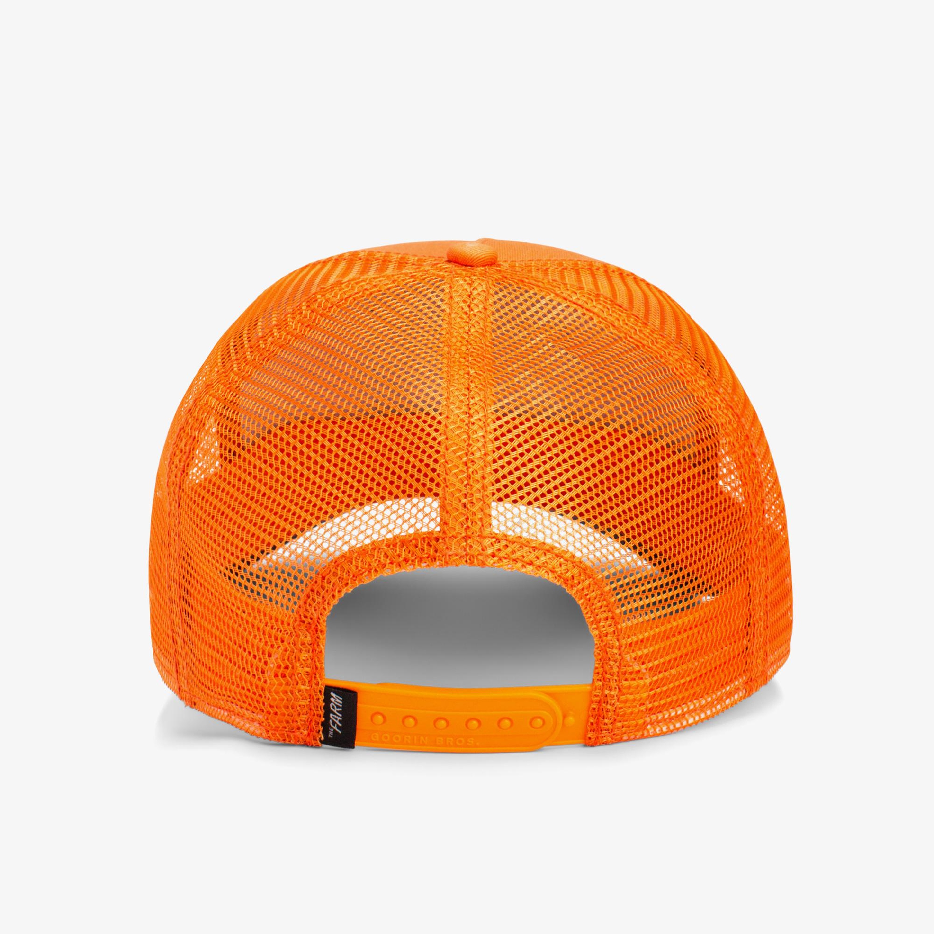 Goorin Bros The Dog Pitbull Unisex Turuncu Şapka