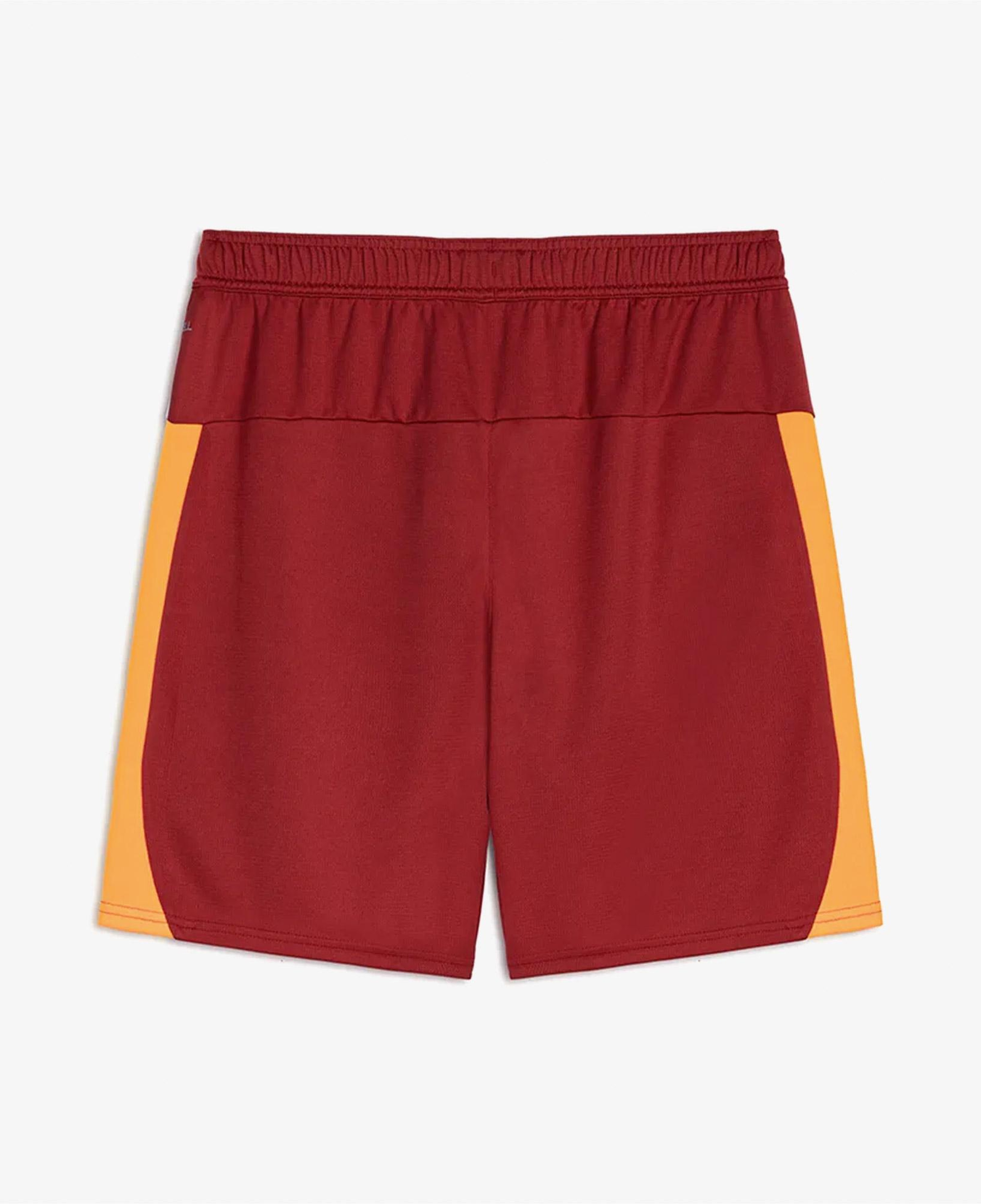 Puma Galatasaray S.K. 25-26 Erkek Kırmızı İç Saha Futbol Şortu