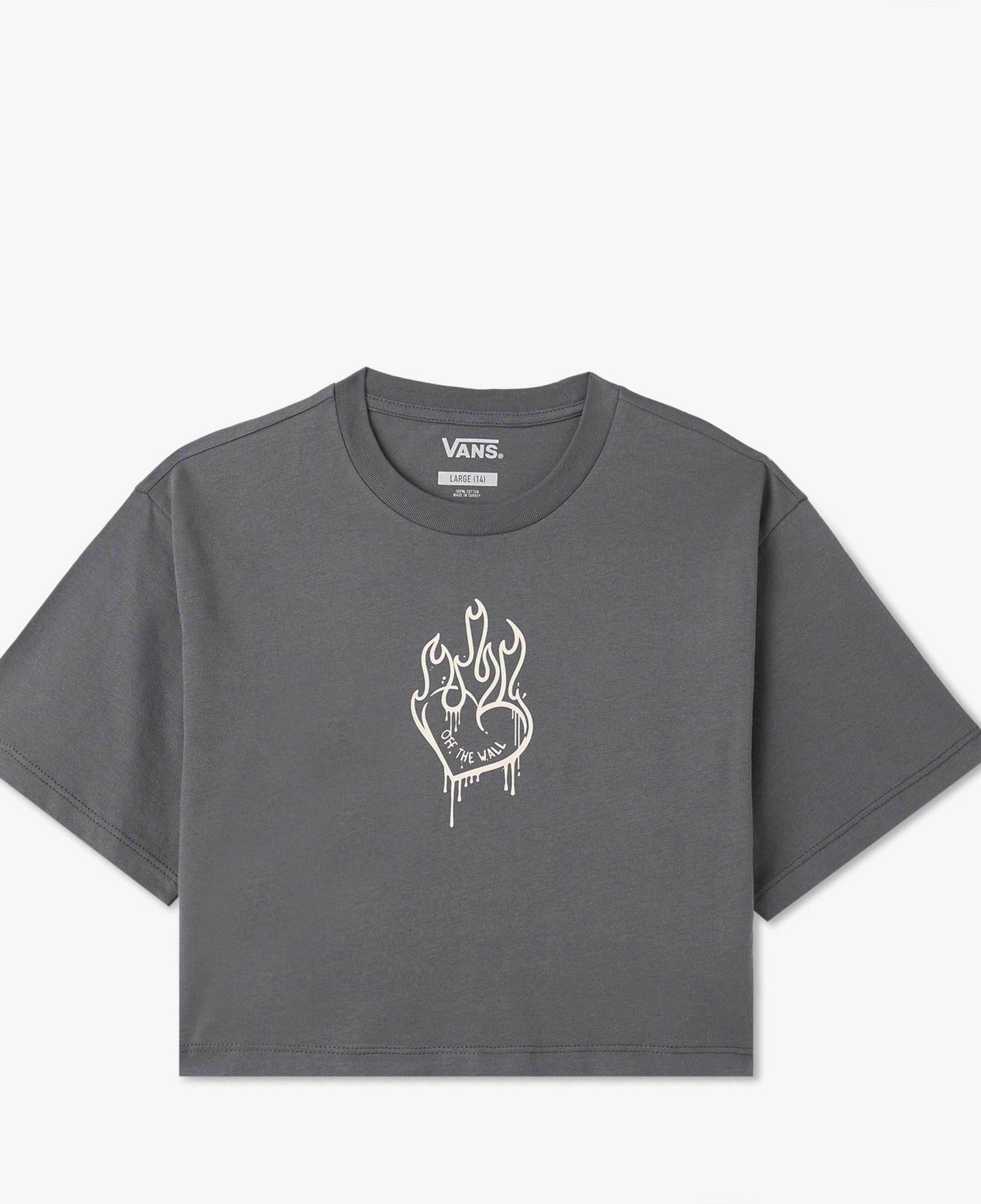 Vans Fire in Your Heart Ss Çocuk Gri T-Shirt