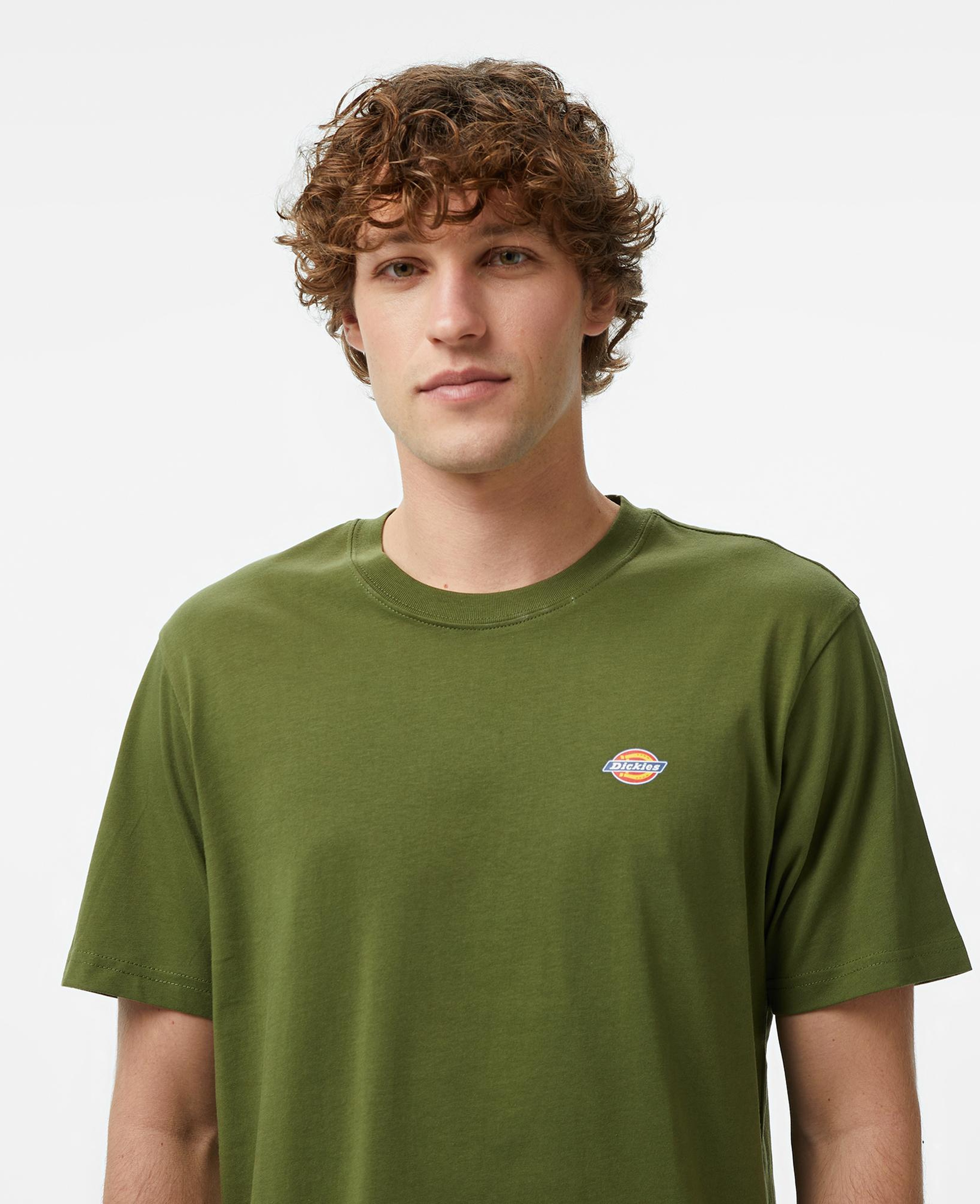 Dickies Mapleton Erkek Yeşil T-Shirt
