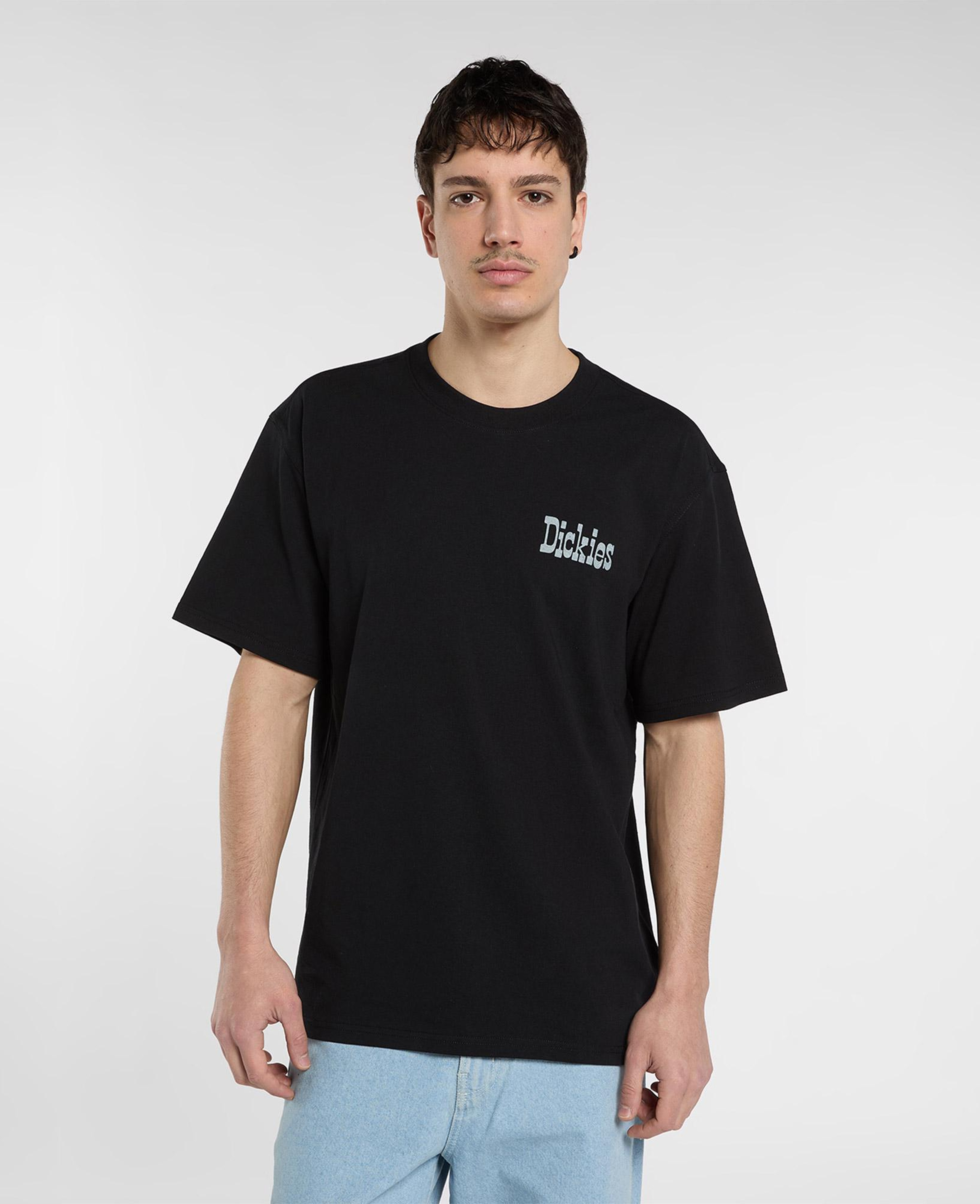Dickies Vernal Erkek Siyah T-Shirt