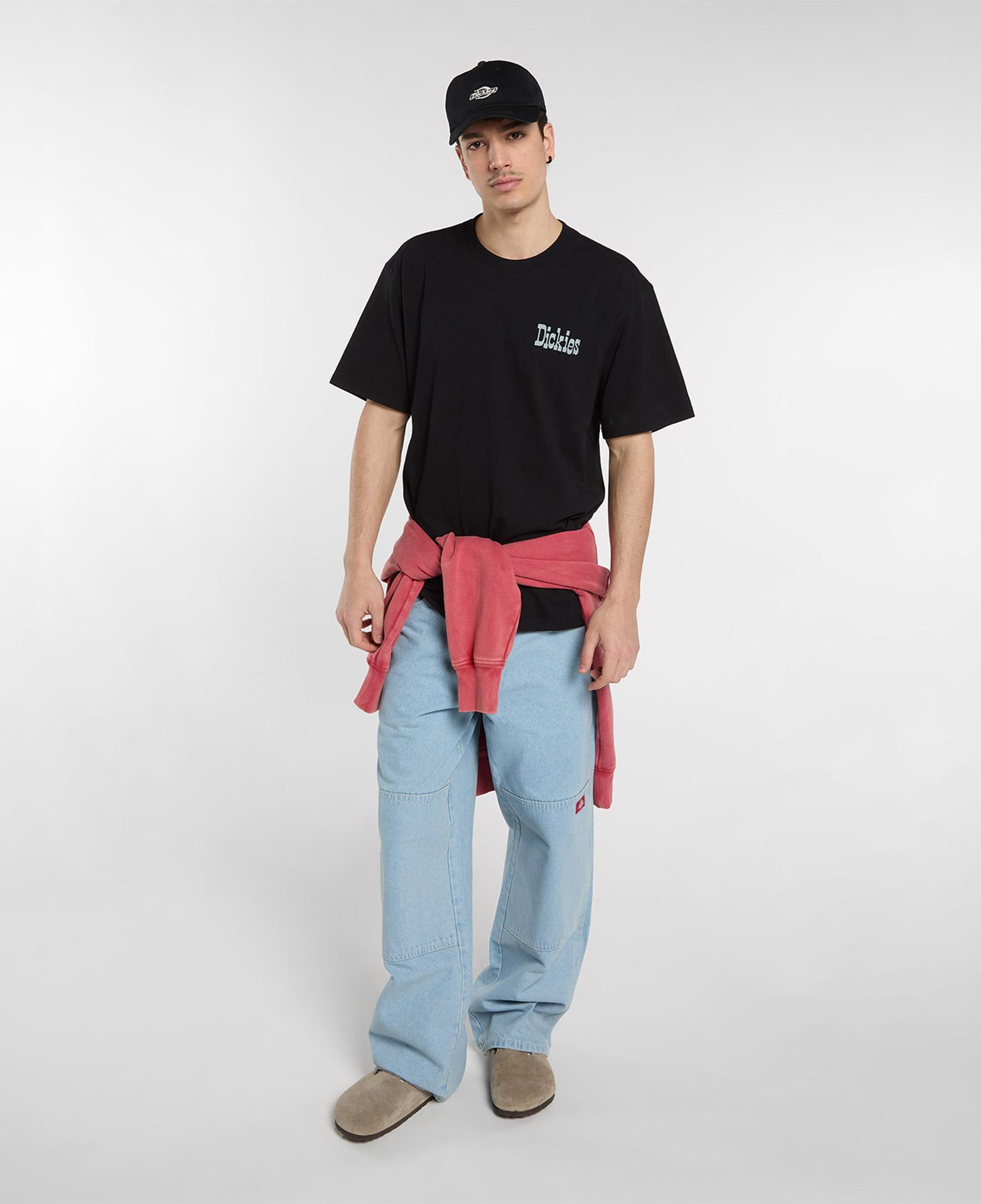 Dickies Vernal Erkek Siyah T-Shirt