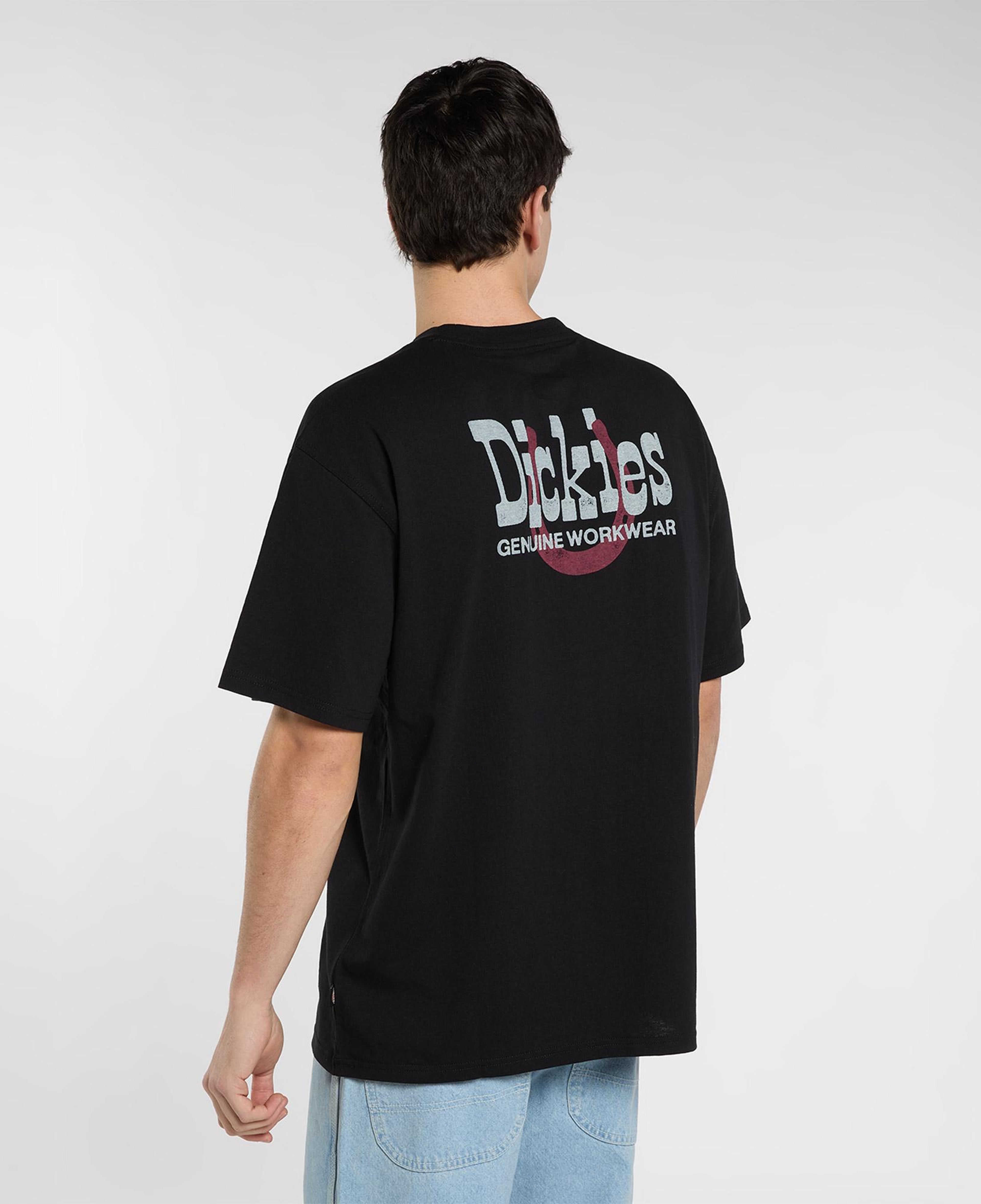 Dickies Vernal Erkek Siyah T-Shirt