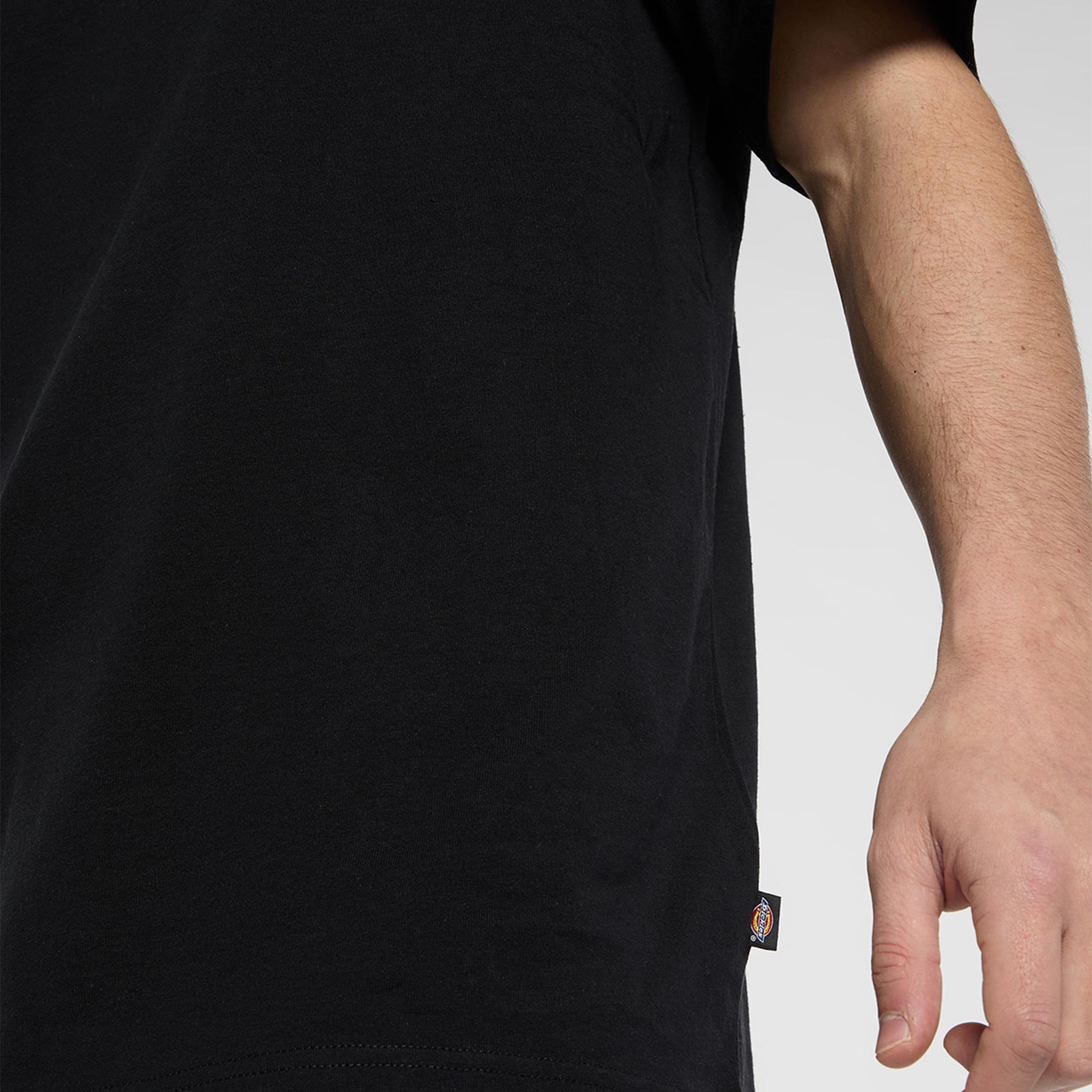 Dickies Vernal Erkek Siyah T-Shirt