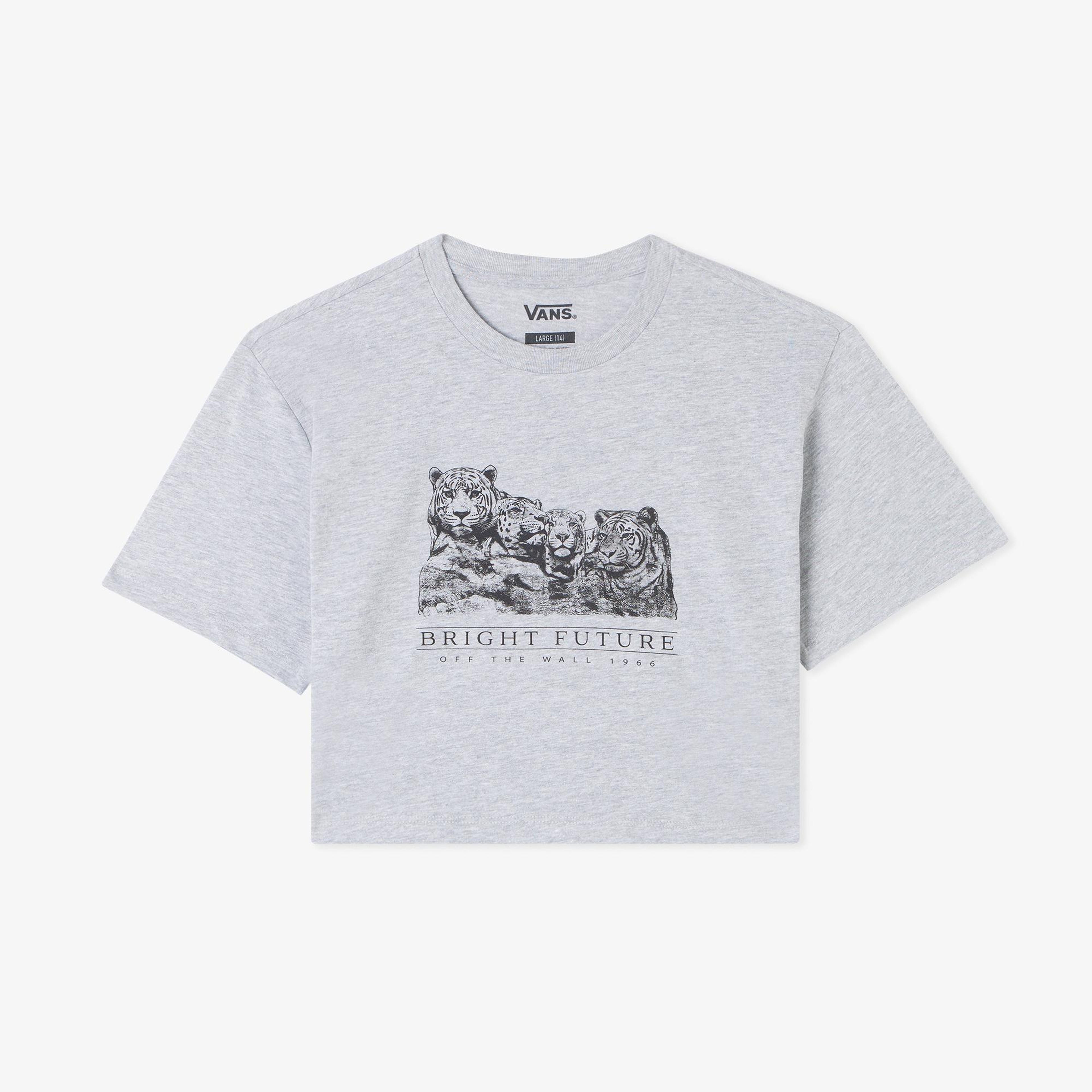 Vans Bright Future Relaxed Crop Ss Çocuk Gri T-Shirt
