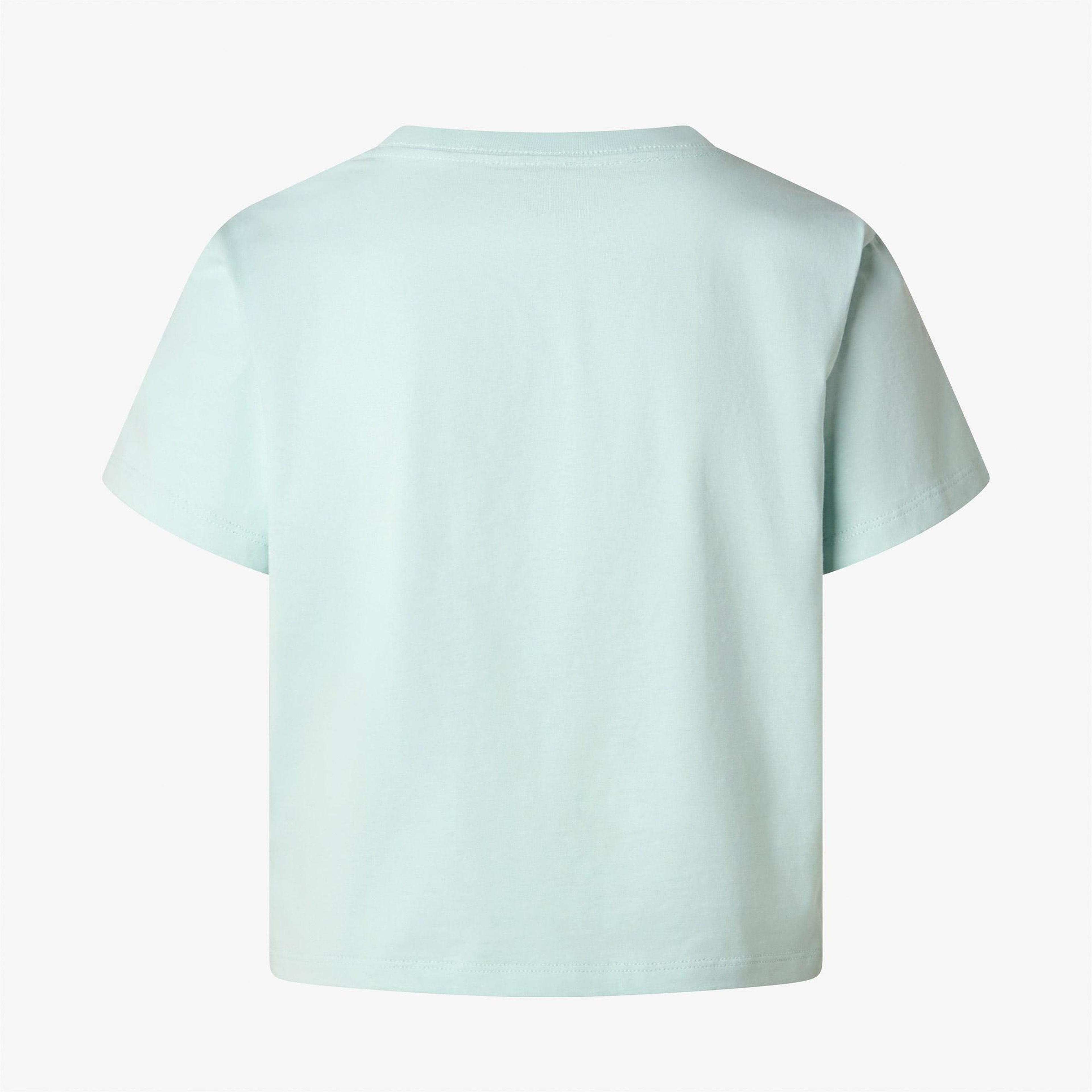 The North Face  Essential Regular Kadın Yeşil T-Shirt