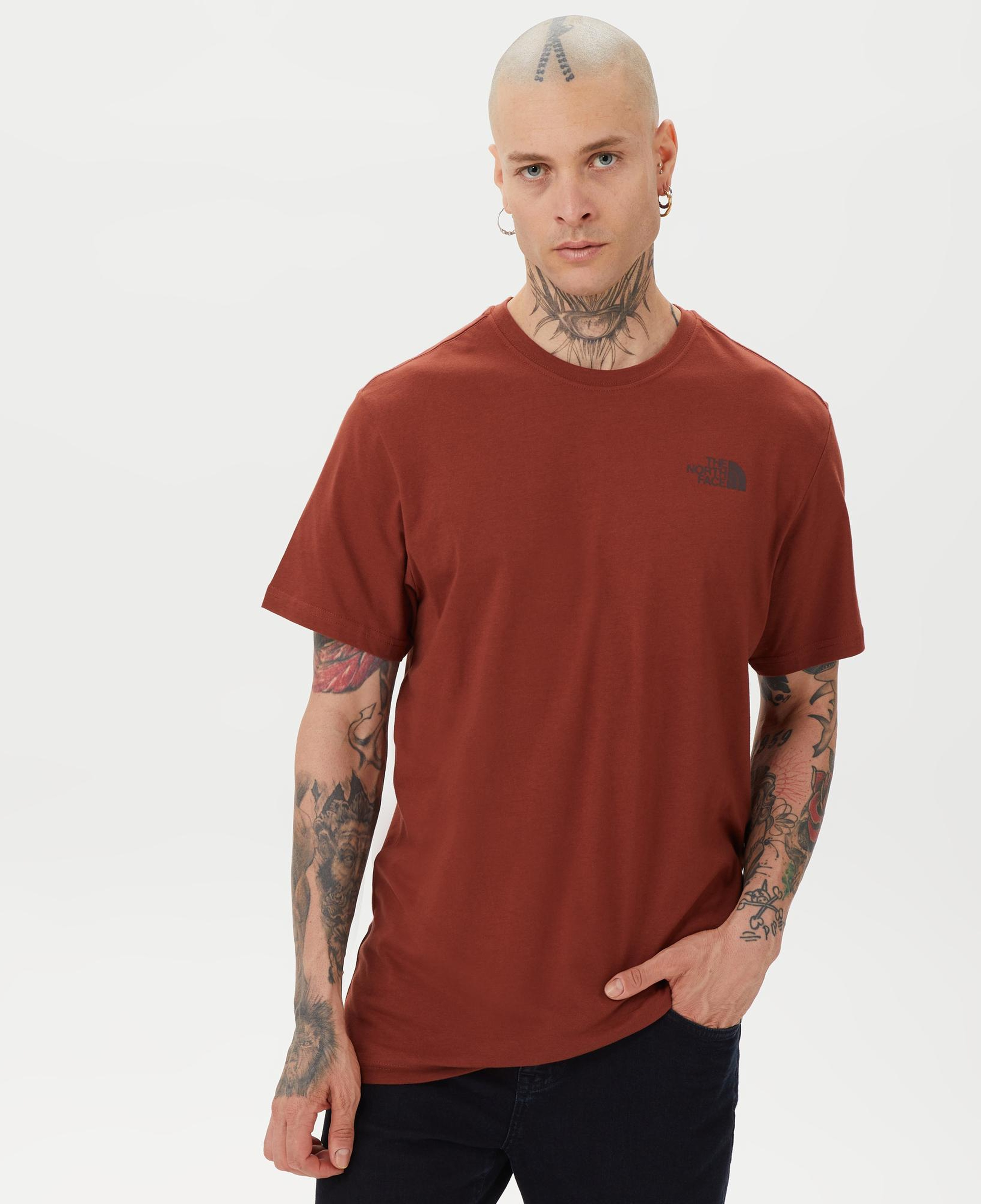 The North Face Redbox Celebration Erkek Kahverengi T-Shirt