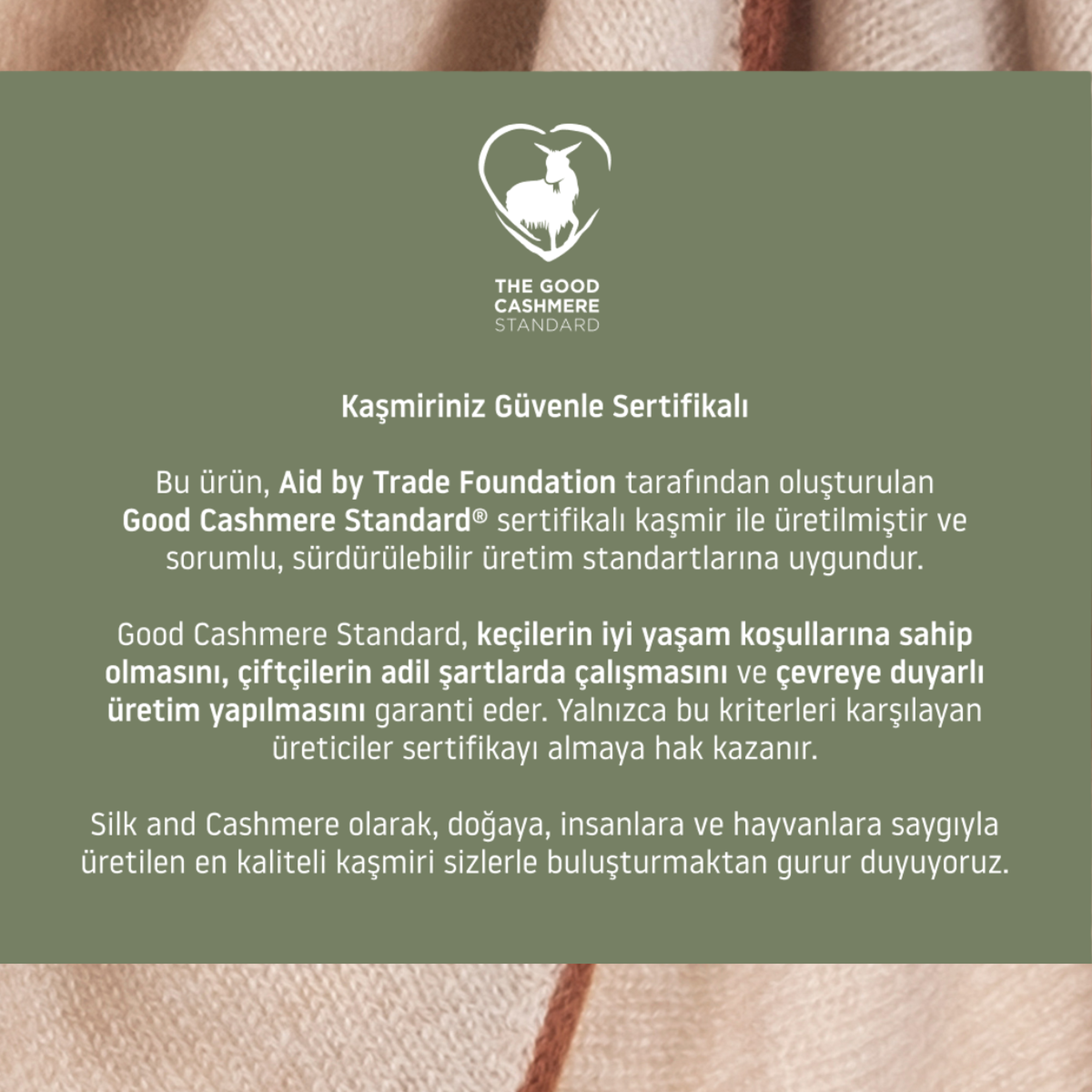 Açık Mavi Elena Saf Kaşmir Crop Kazak