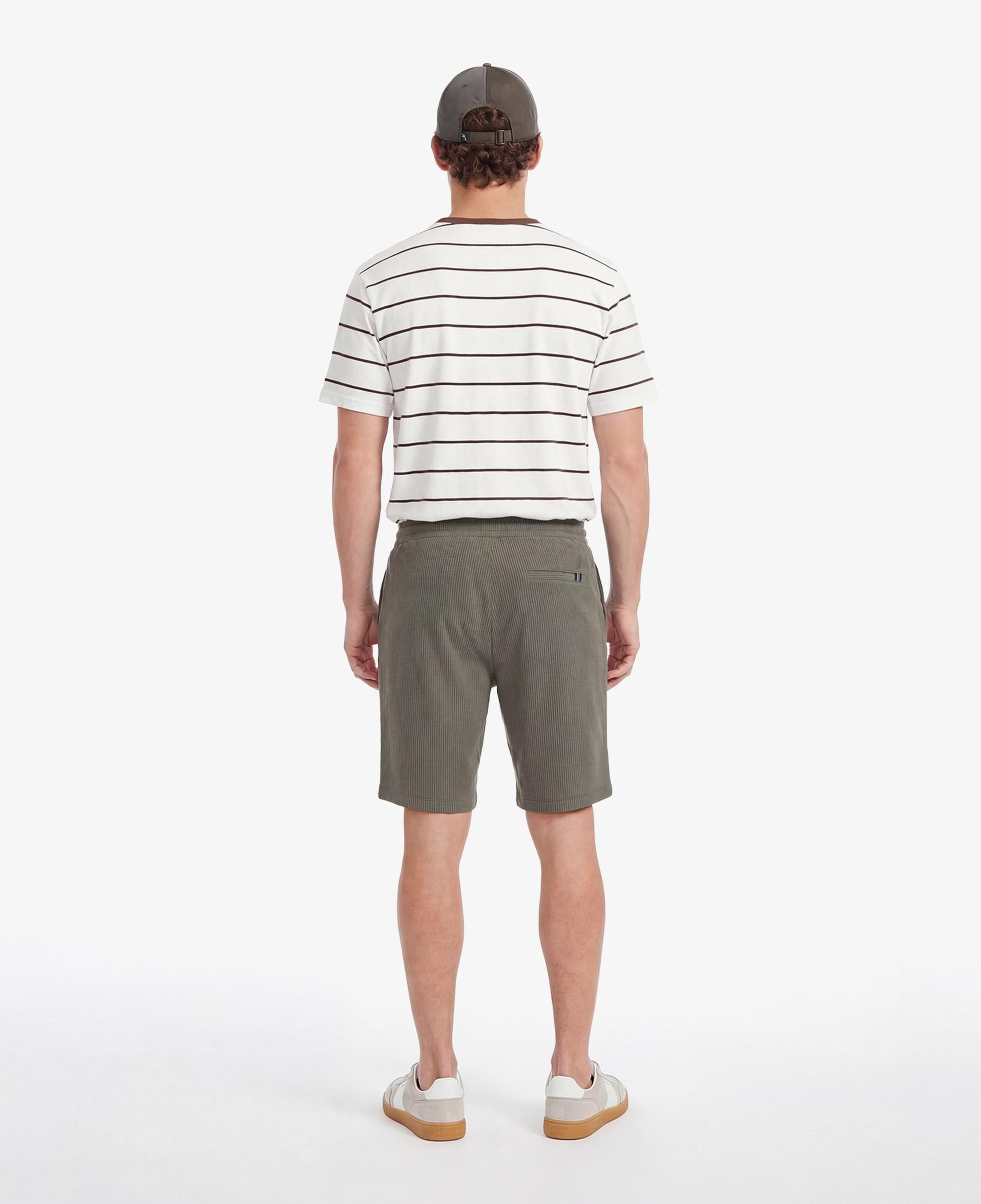 Nautica Erkek Yeşil Regular Fit Şort