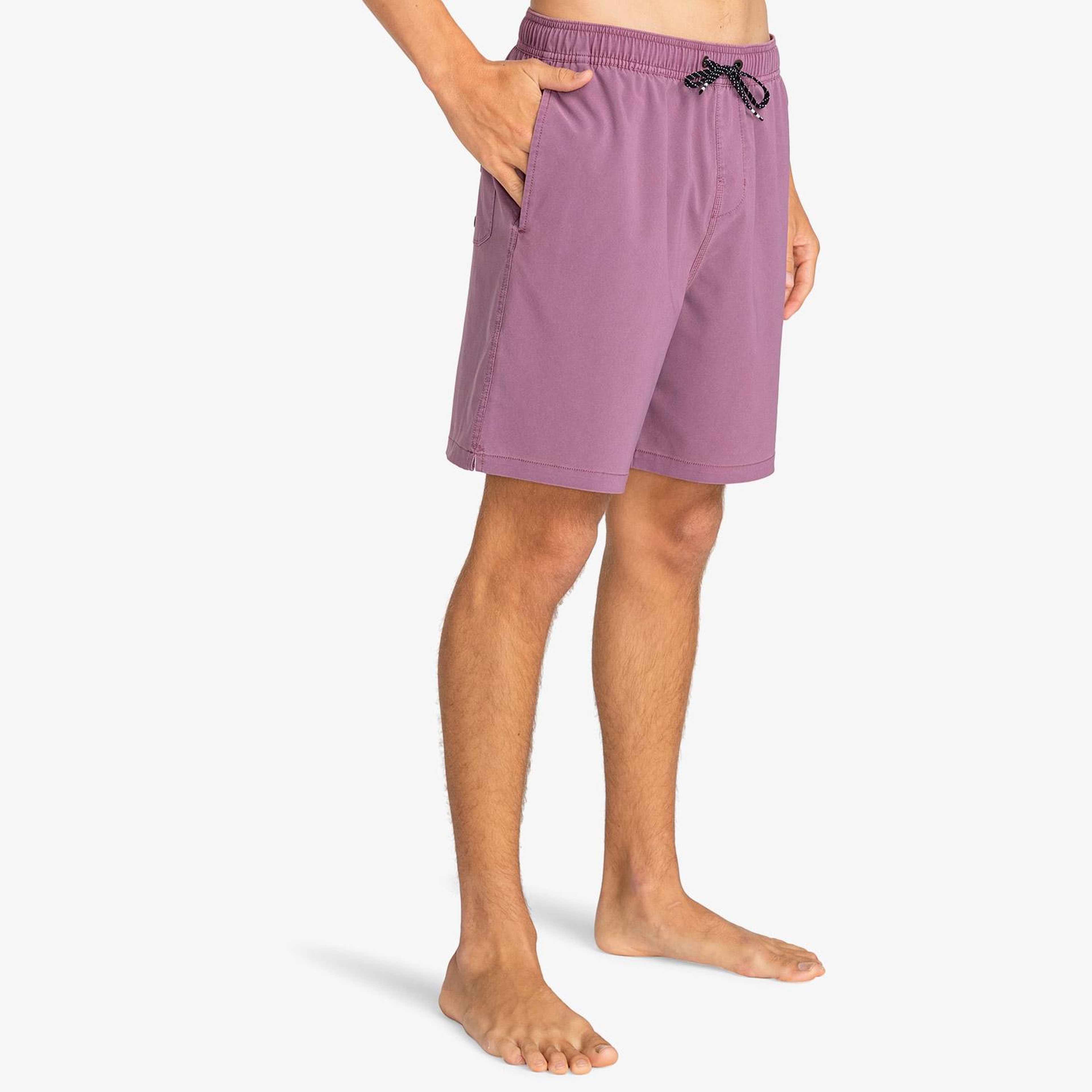 Billabong All Day Interchange Layback Erkek Mor Deniz Şortu