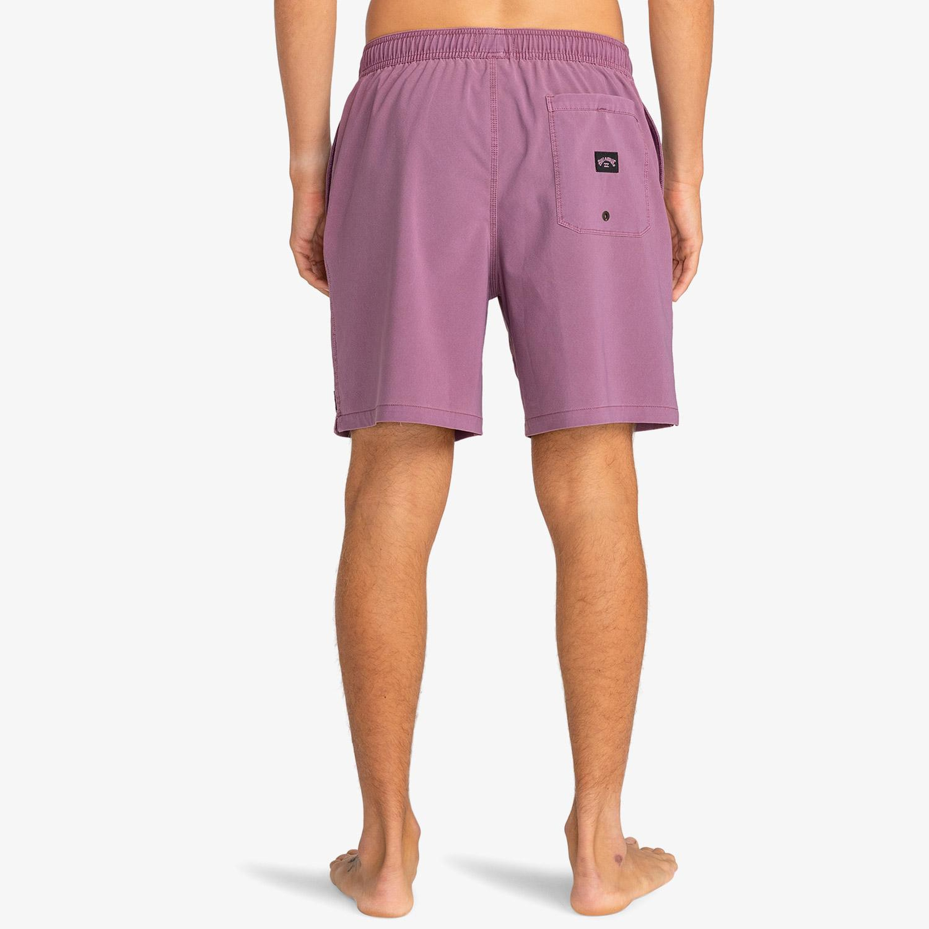 Billabong All Day Interchange Layback Erkek Mor Deniz Şortu
