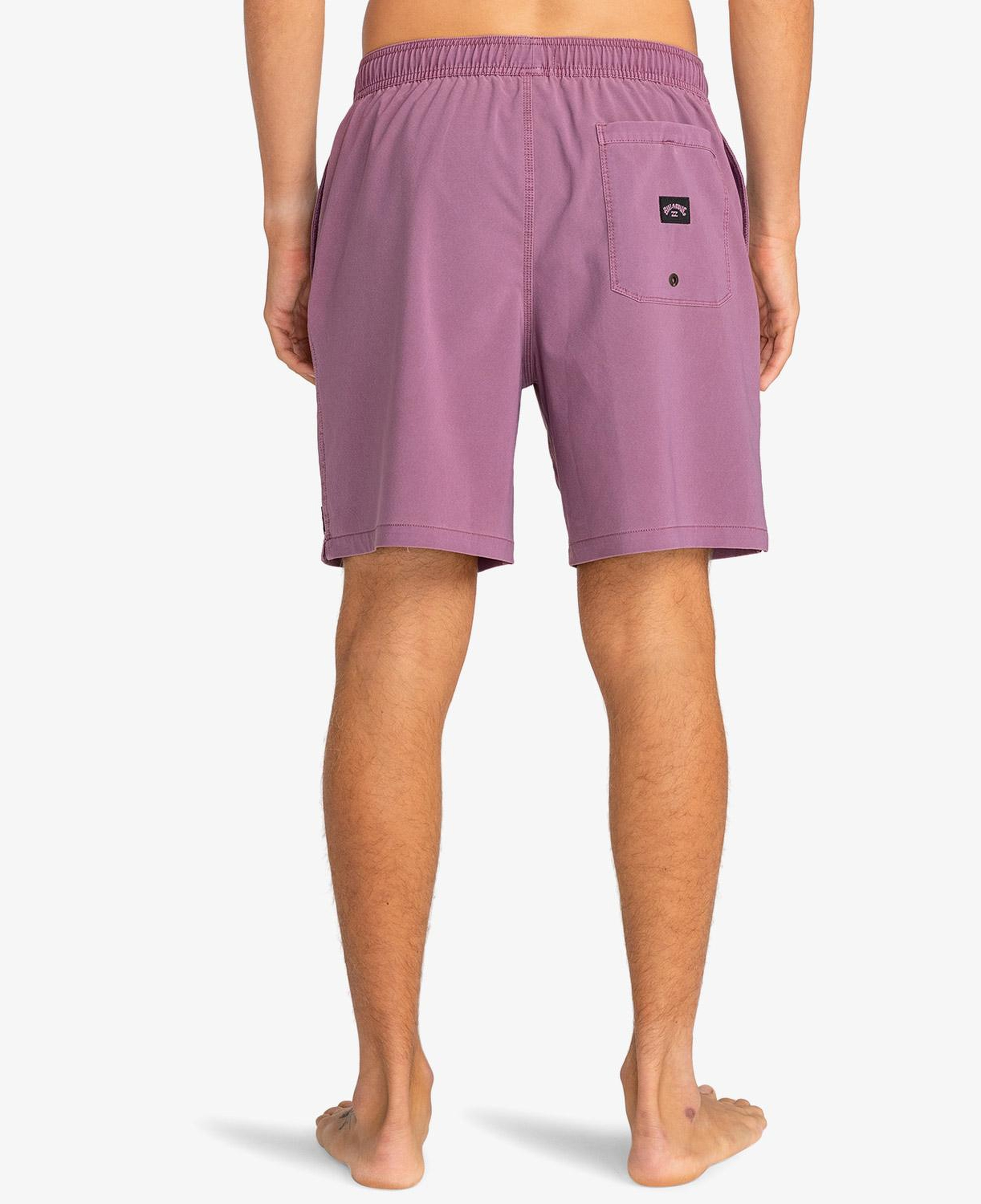 Billabong All Day Interchange Layback Erkek Mor Deniz Şortu