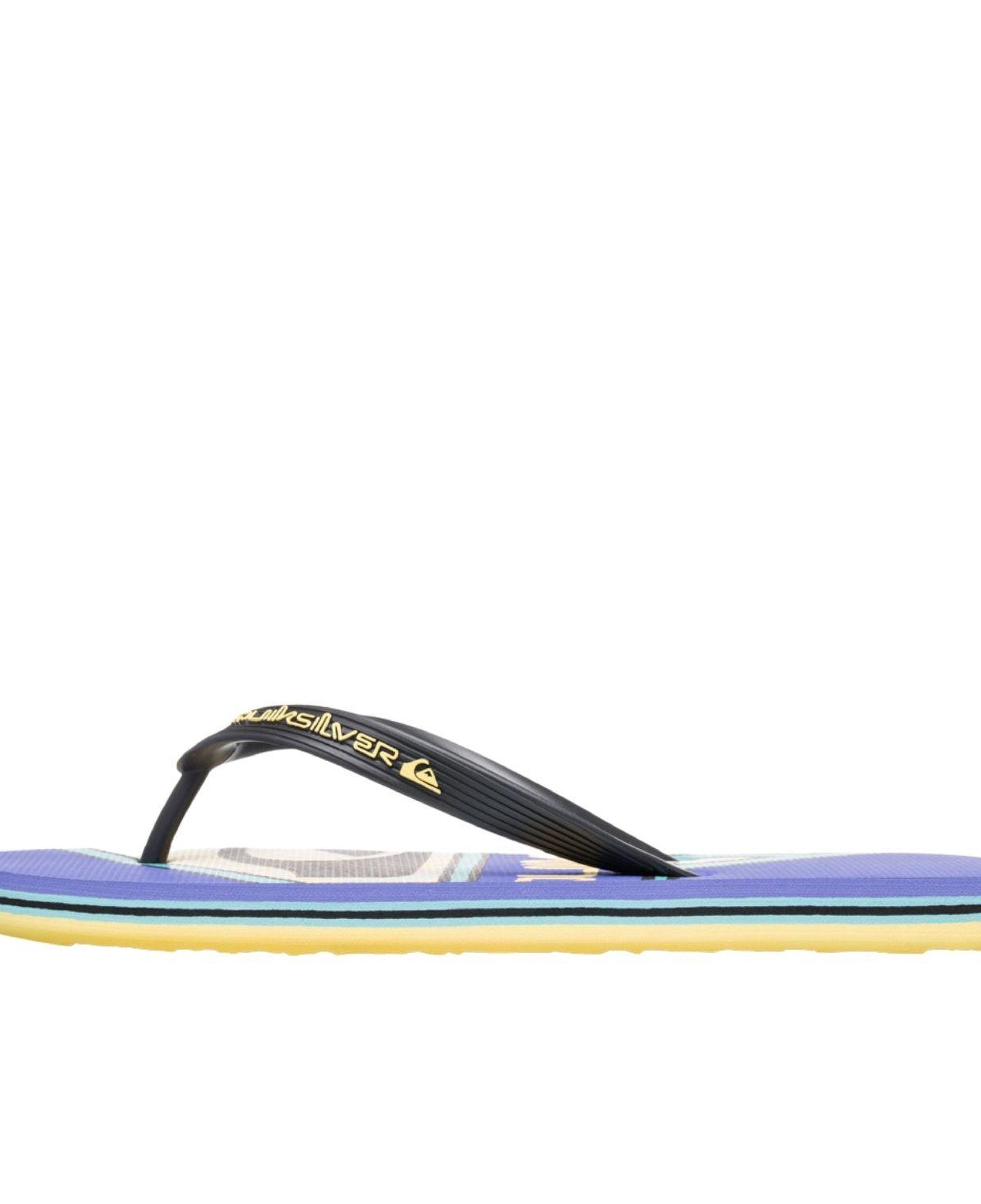Quiksilver Molokai Screen Erkek Terlik