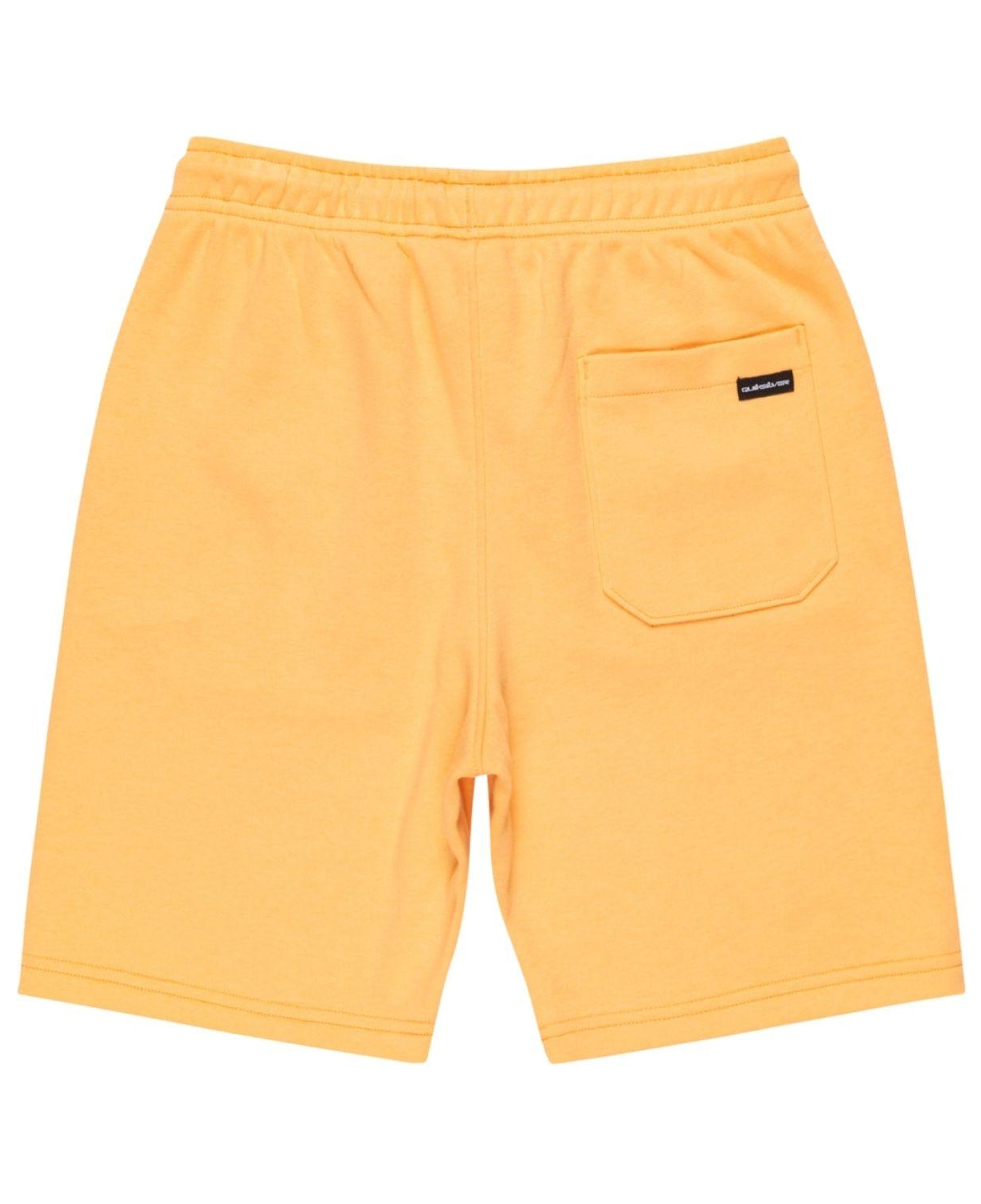 Quiksilver Easy Day Jogger Youth Erkek Çocuk Şort