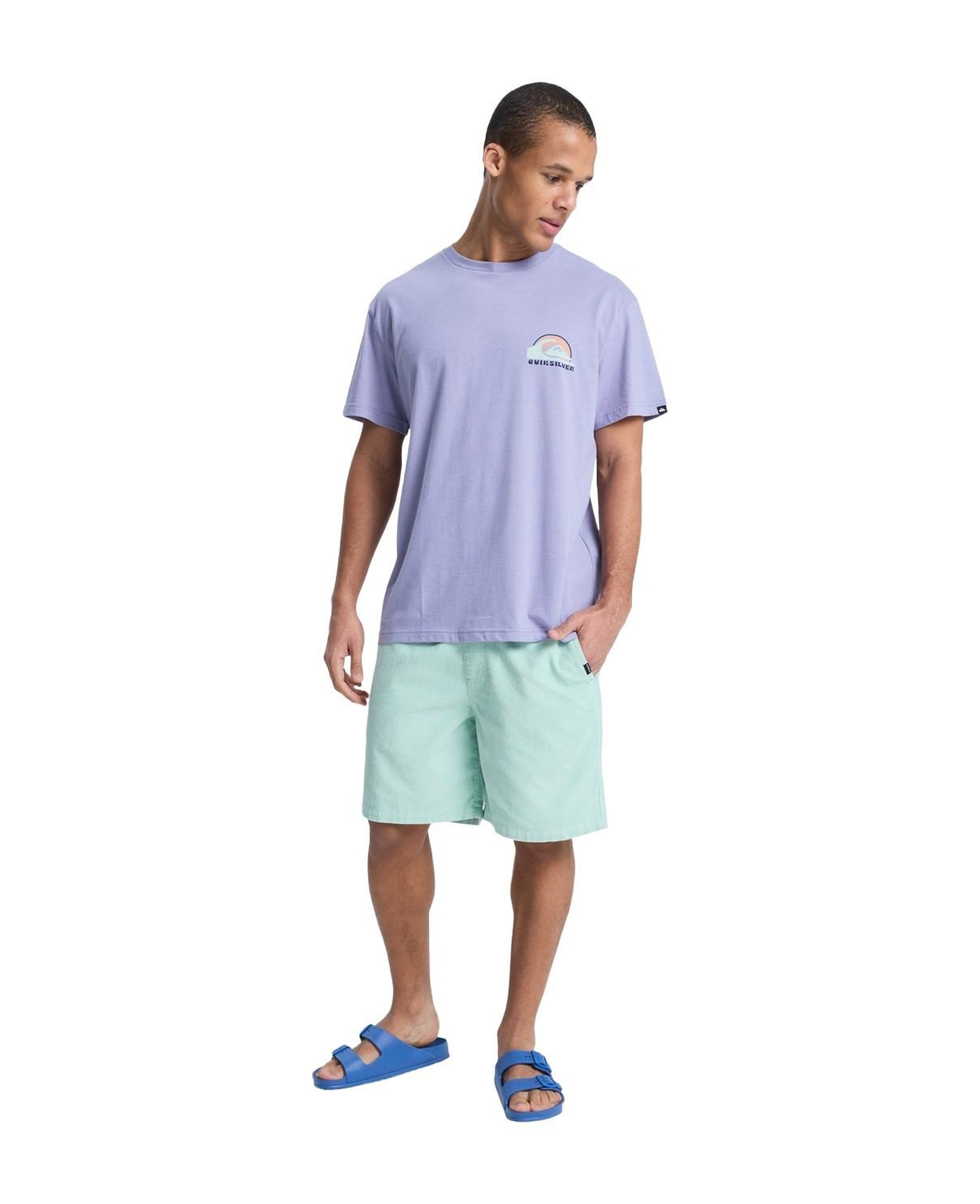 Quiksilver Hellbender Erkek Mor Tişört