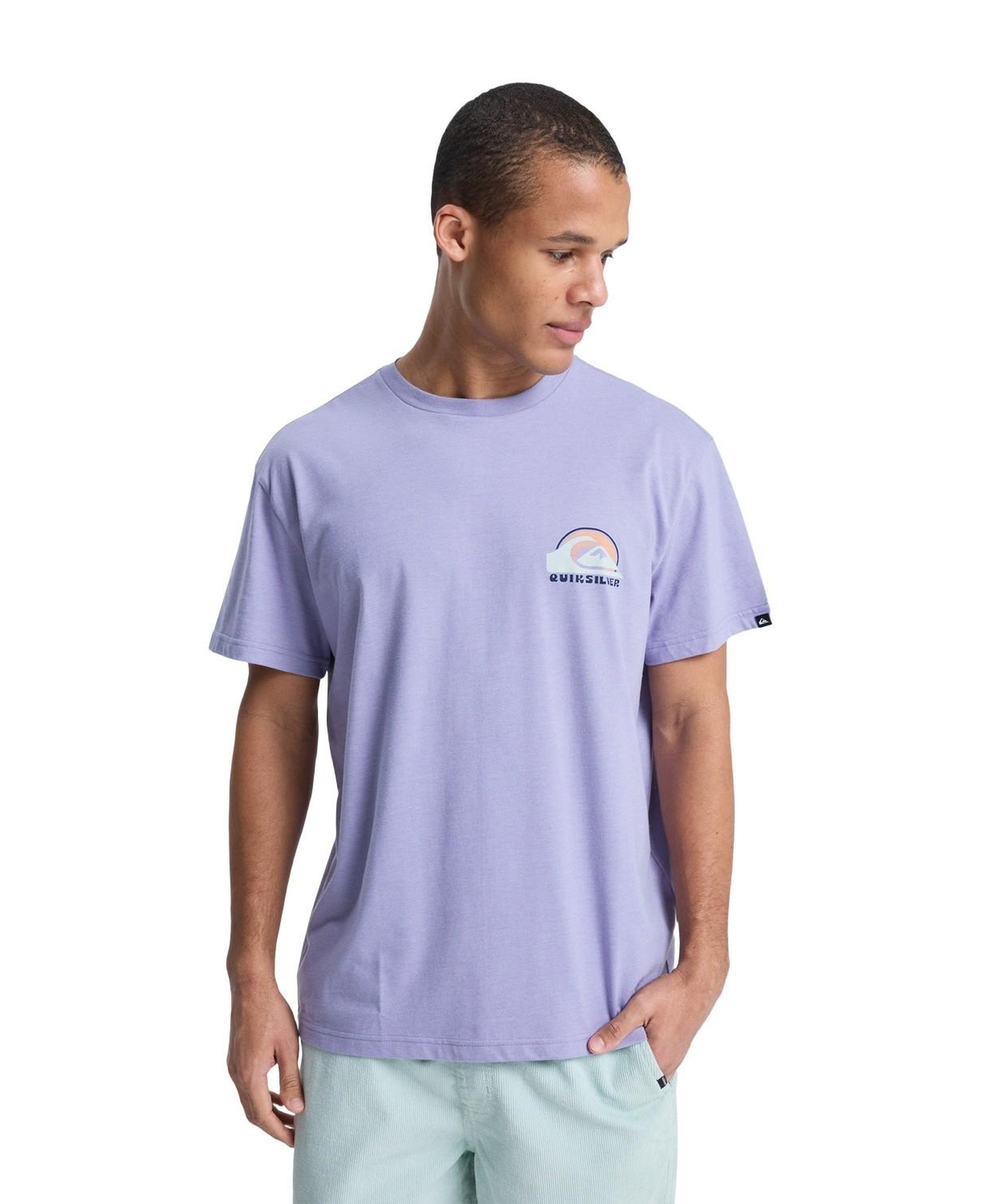 Quiksilver Hellbender Erkek Mor Tişört