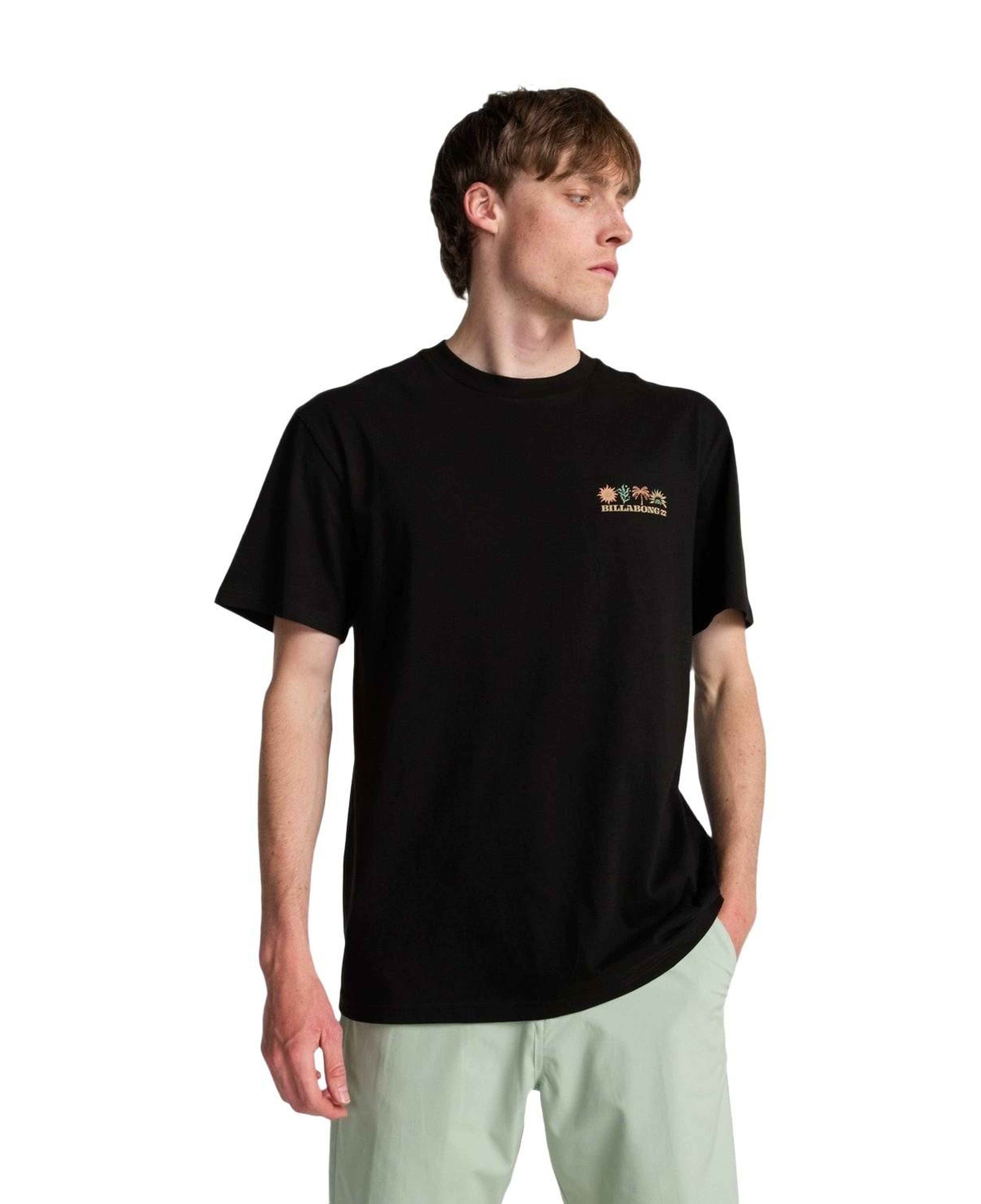 Billabong Segment Erkek Siyah Tişört