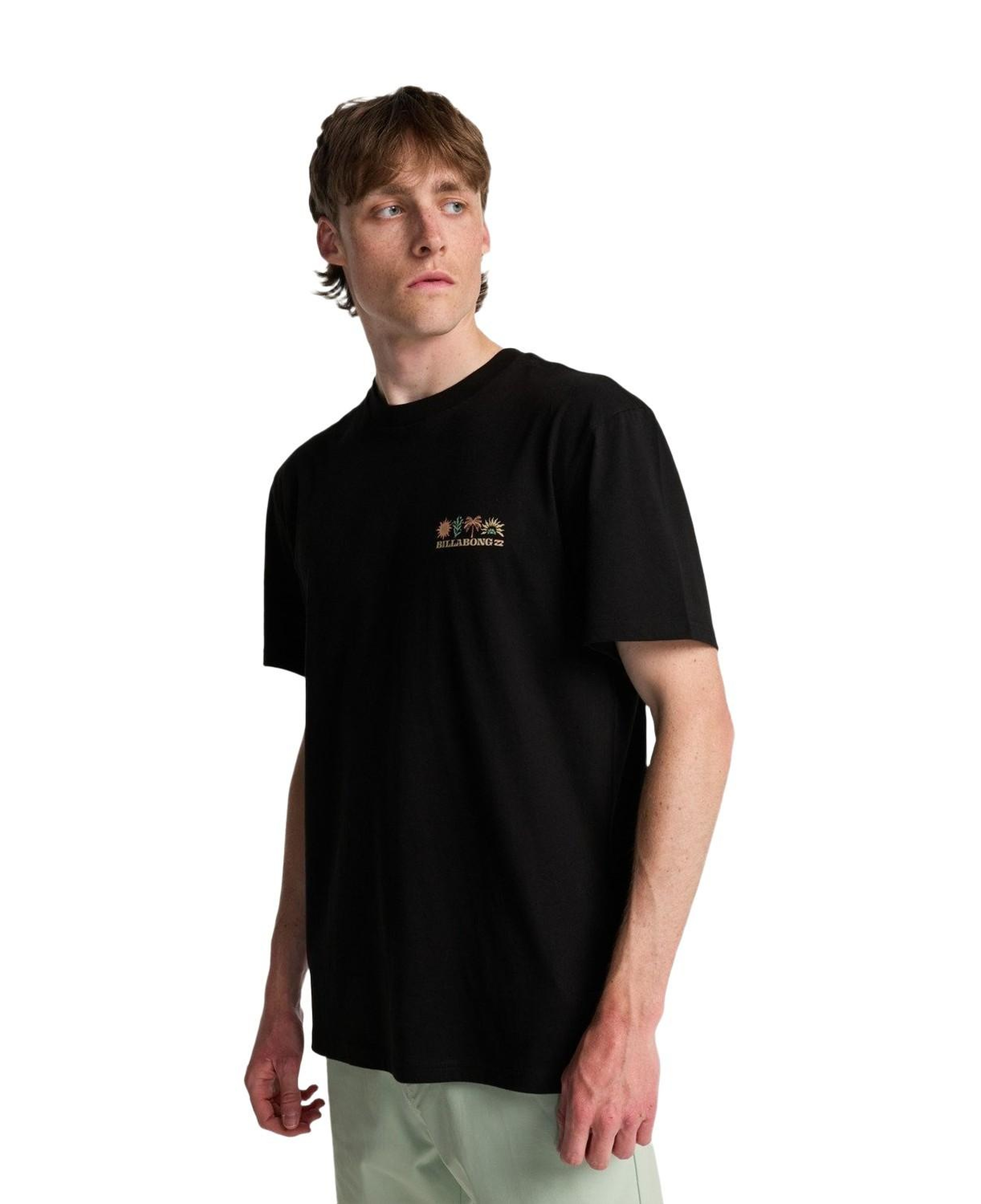 Billabong Segment Erkek Siyah Tişört