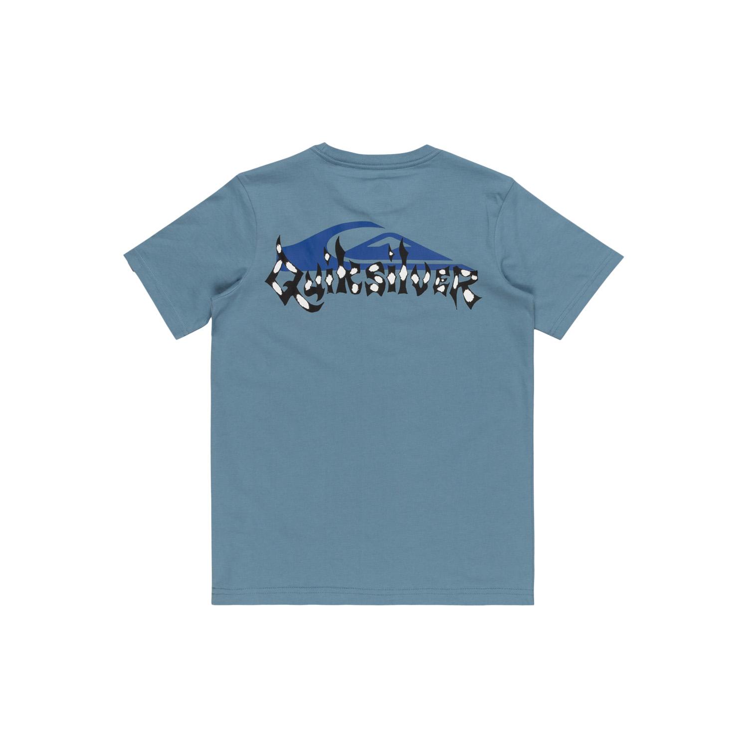Quiksilver Surf Core Youth Erkek Çocuk Tişört