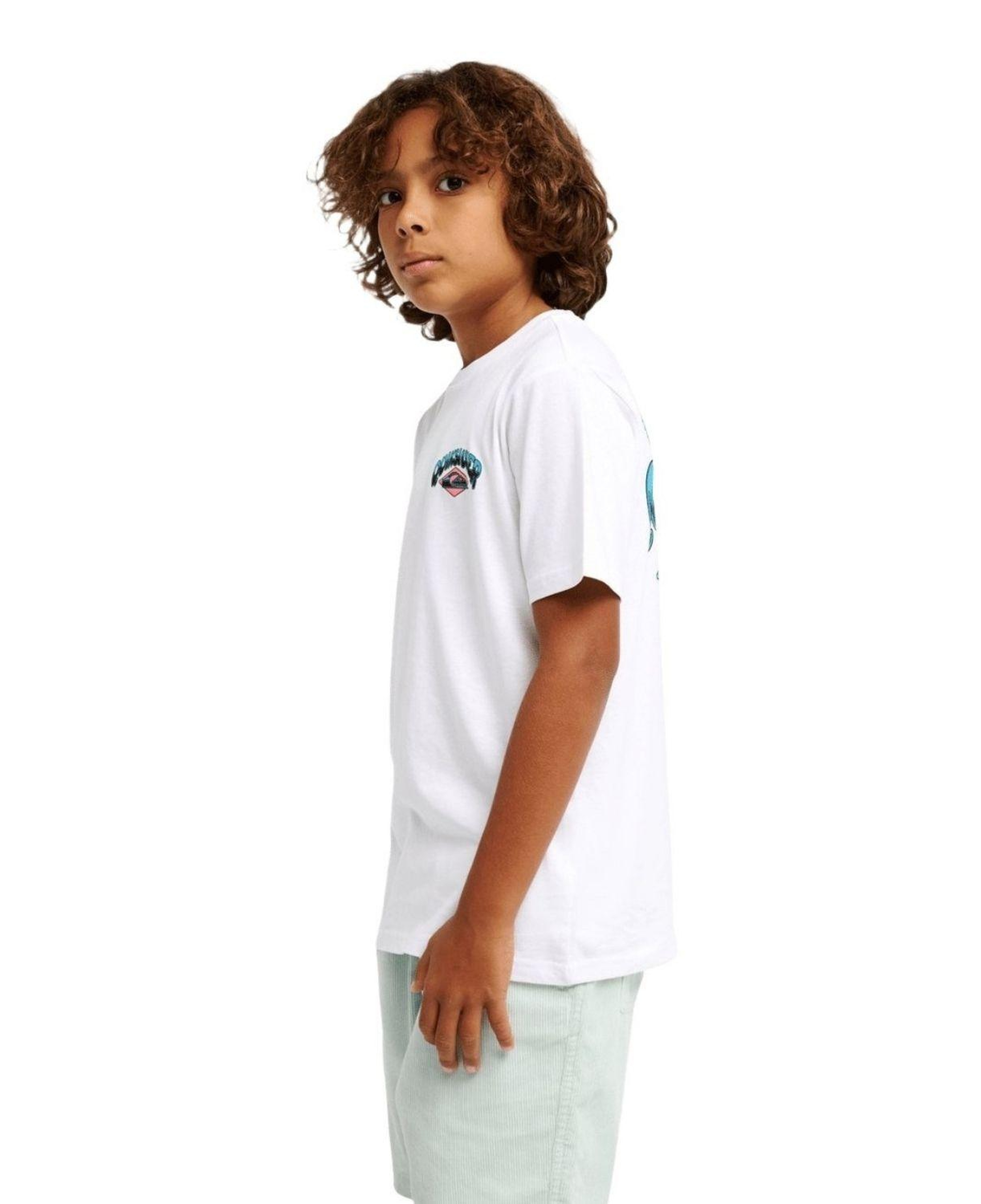 Quiksilver Palm Horizon Erkek Çocuk Beyaz Tişört