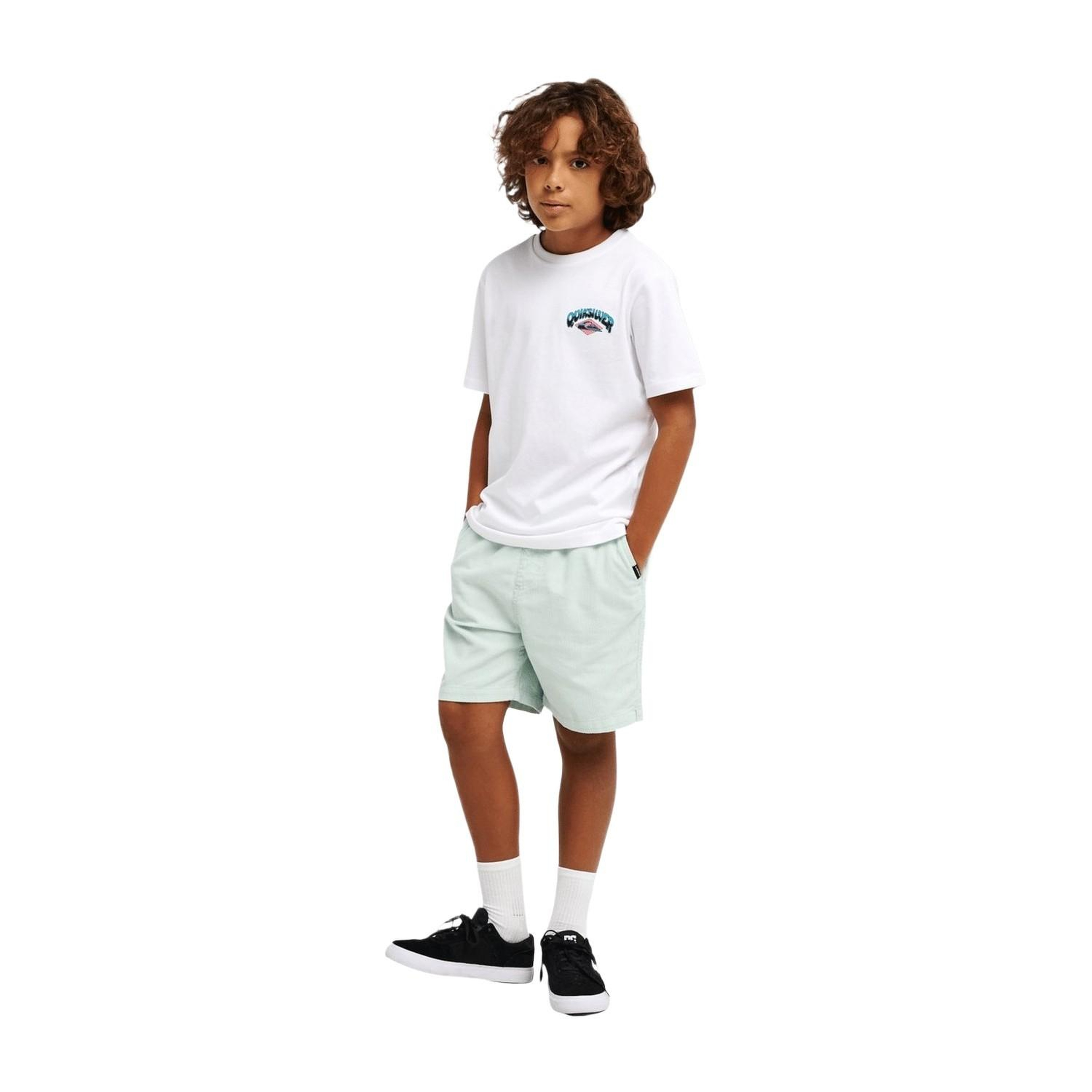 Quiksilver Palm Horizon Erkek Çocuk Beyaz Tişört