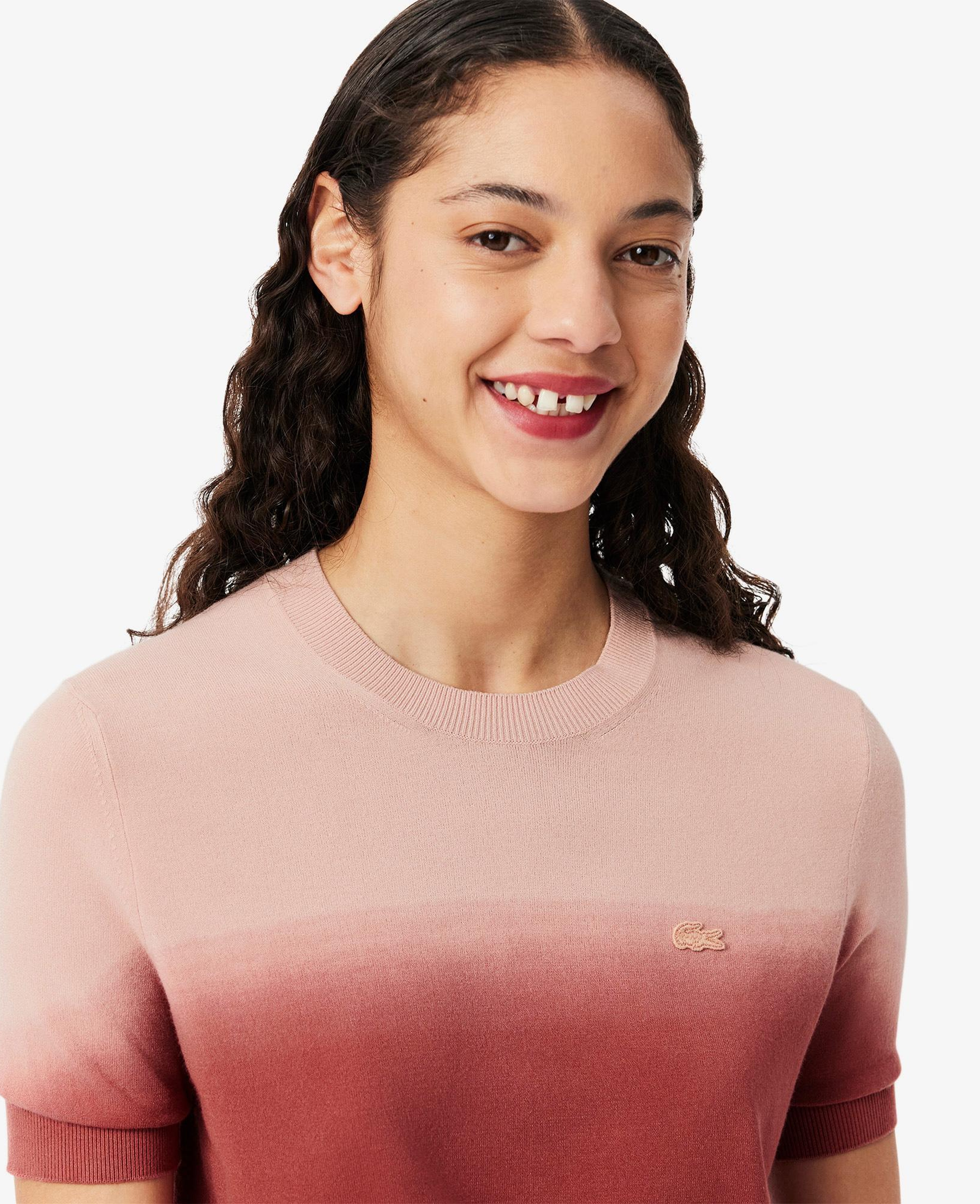 Kadın Classic Fit Kısa Kollu Bisiklet Yaka Renk Bloklu Pembe Triko