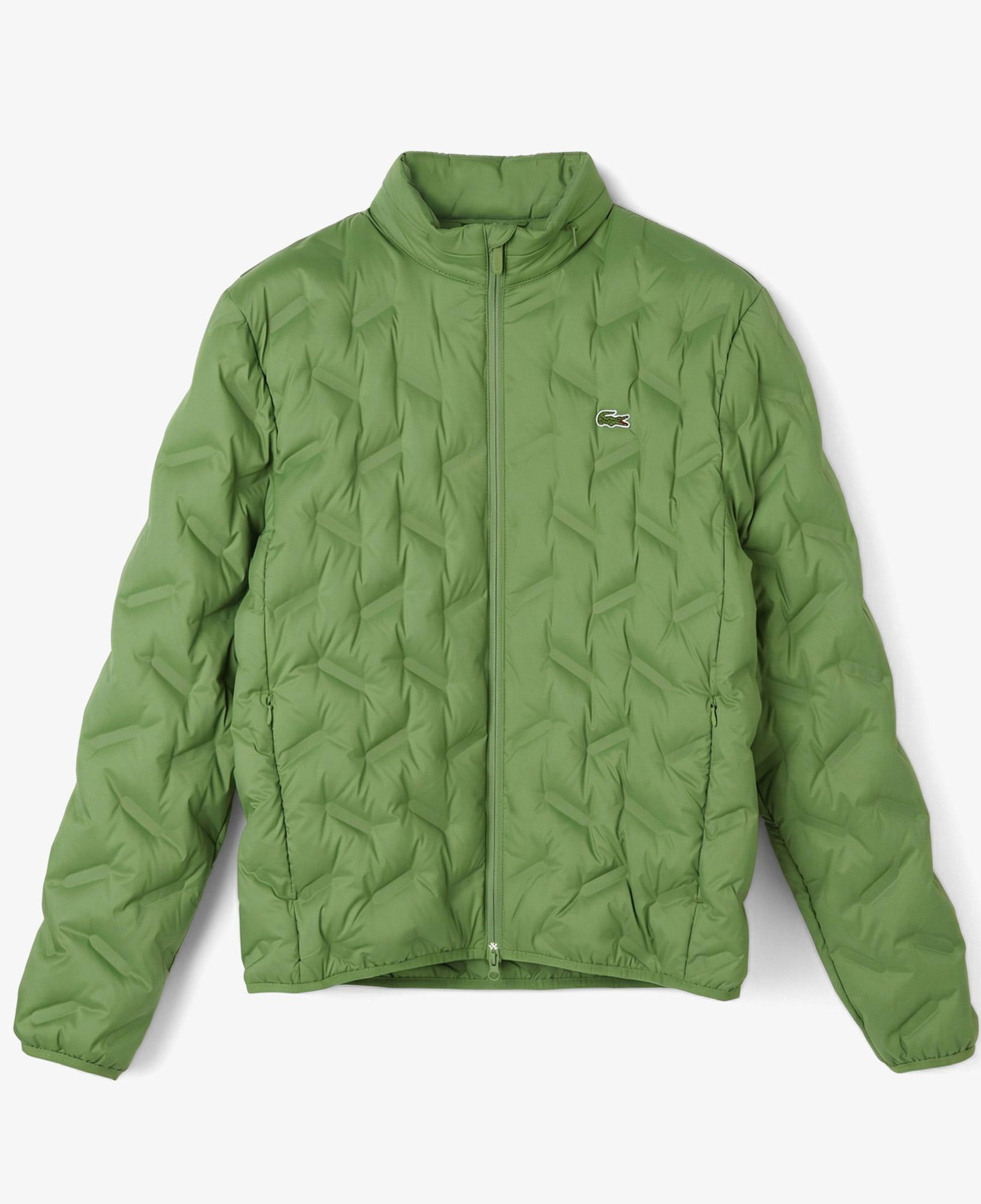 Erkek Regular Fit Kapüşonlu Kapitone Yeşil Mont
