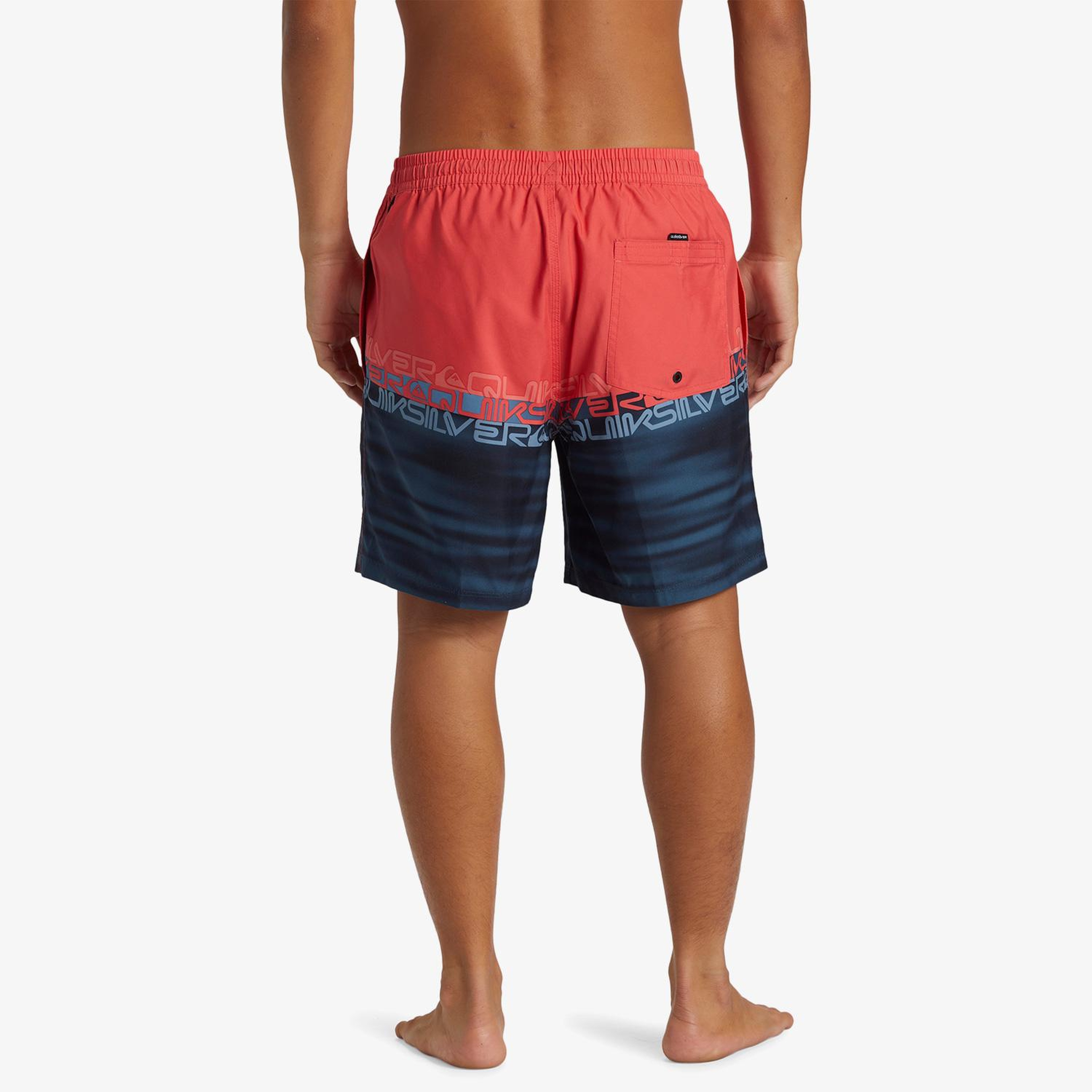 Quiksilver Everyday Erkek Renkli Deniz Şortu