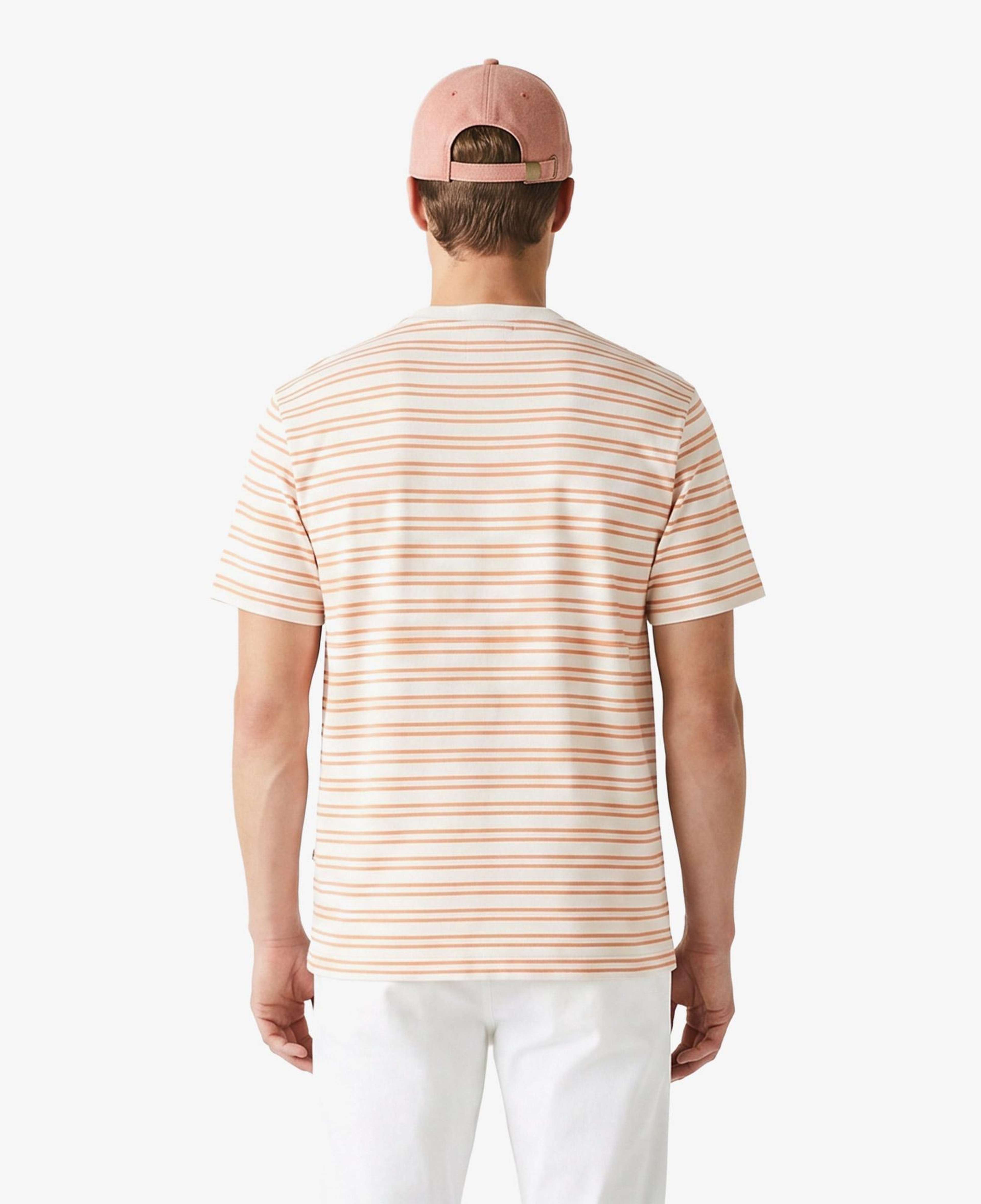Erkek Classic Fit Bisiklet Yaka Çizgili Turuncu T-Shirt