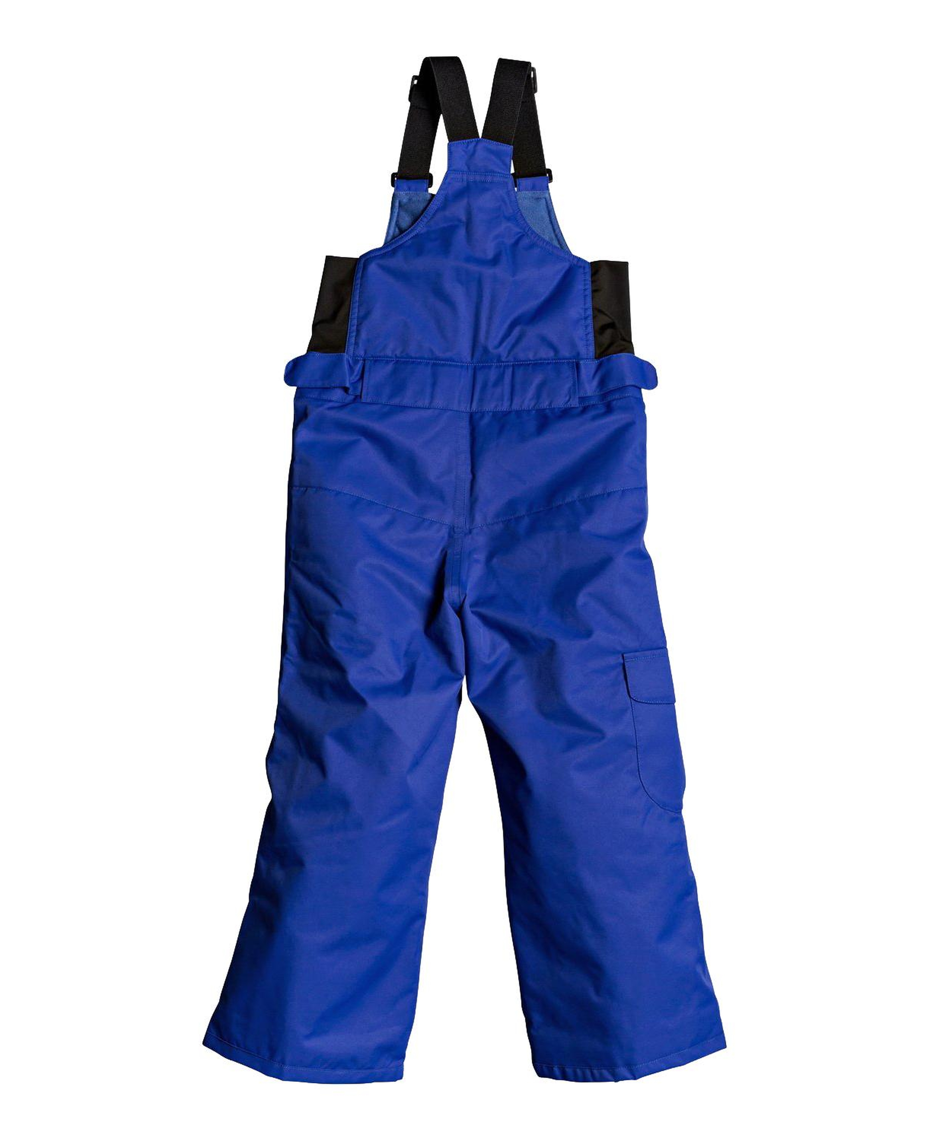 Roxy Lola Kız Çocuk Mavi Snowboard Pantolonu