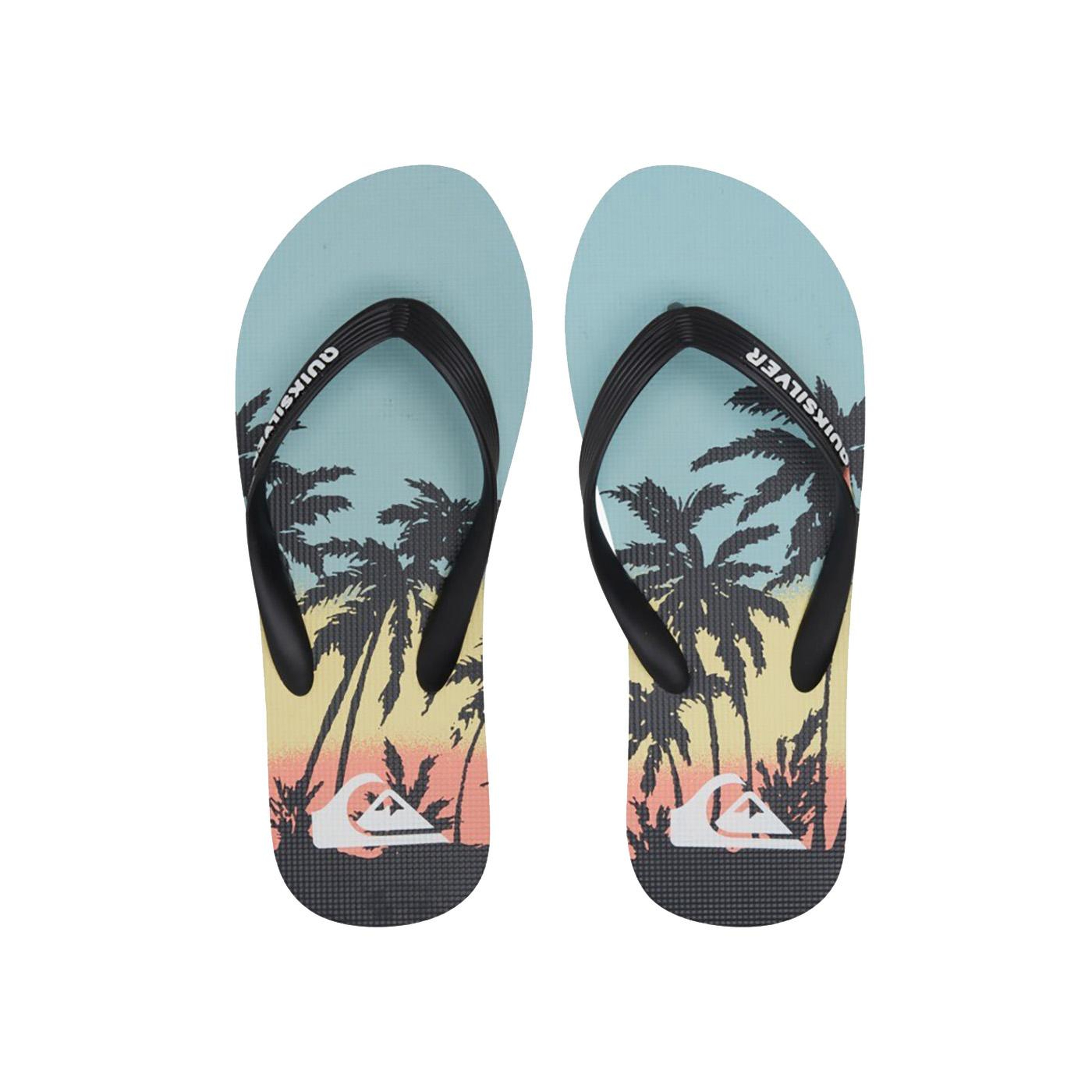 Quiksilver Molokai Art Erkek Mavi Terlik