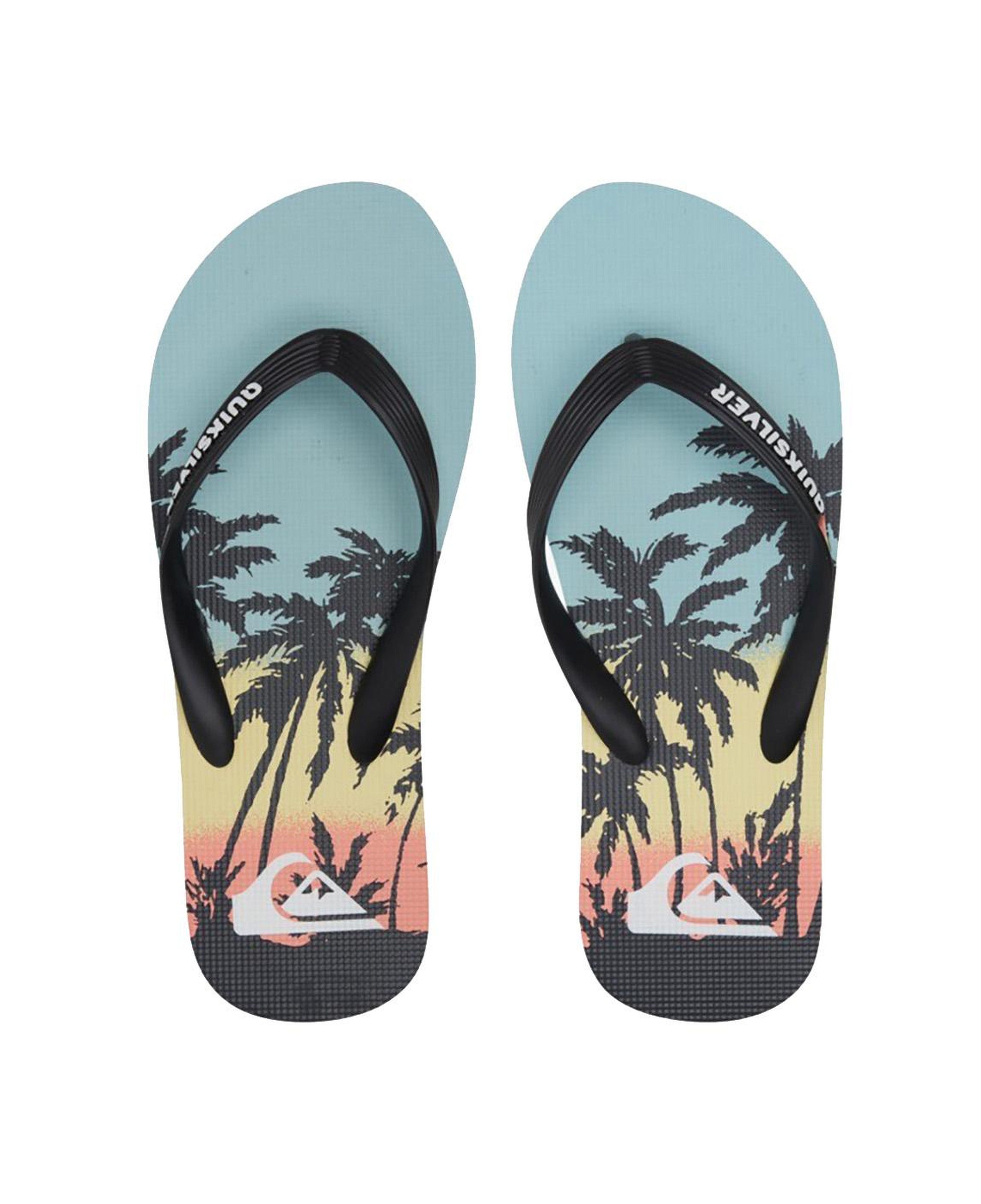 Quiksilver Molokai Art Erkek Mavi Terlik