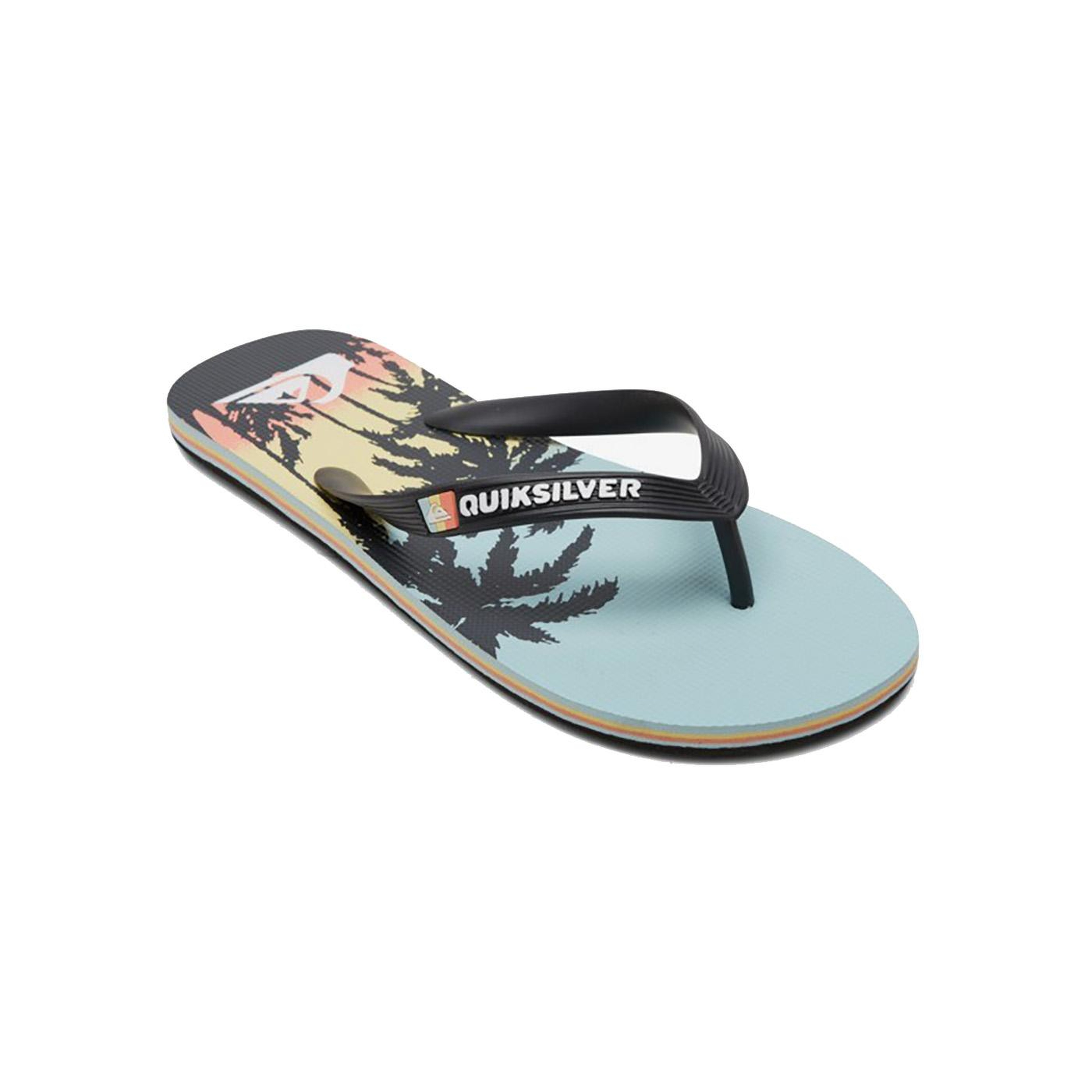 Quiksilver Molokai Art Erkek Mavi Terlik