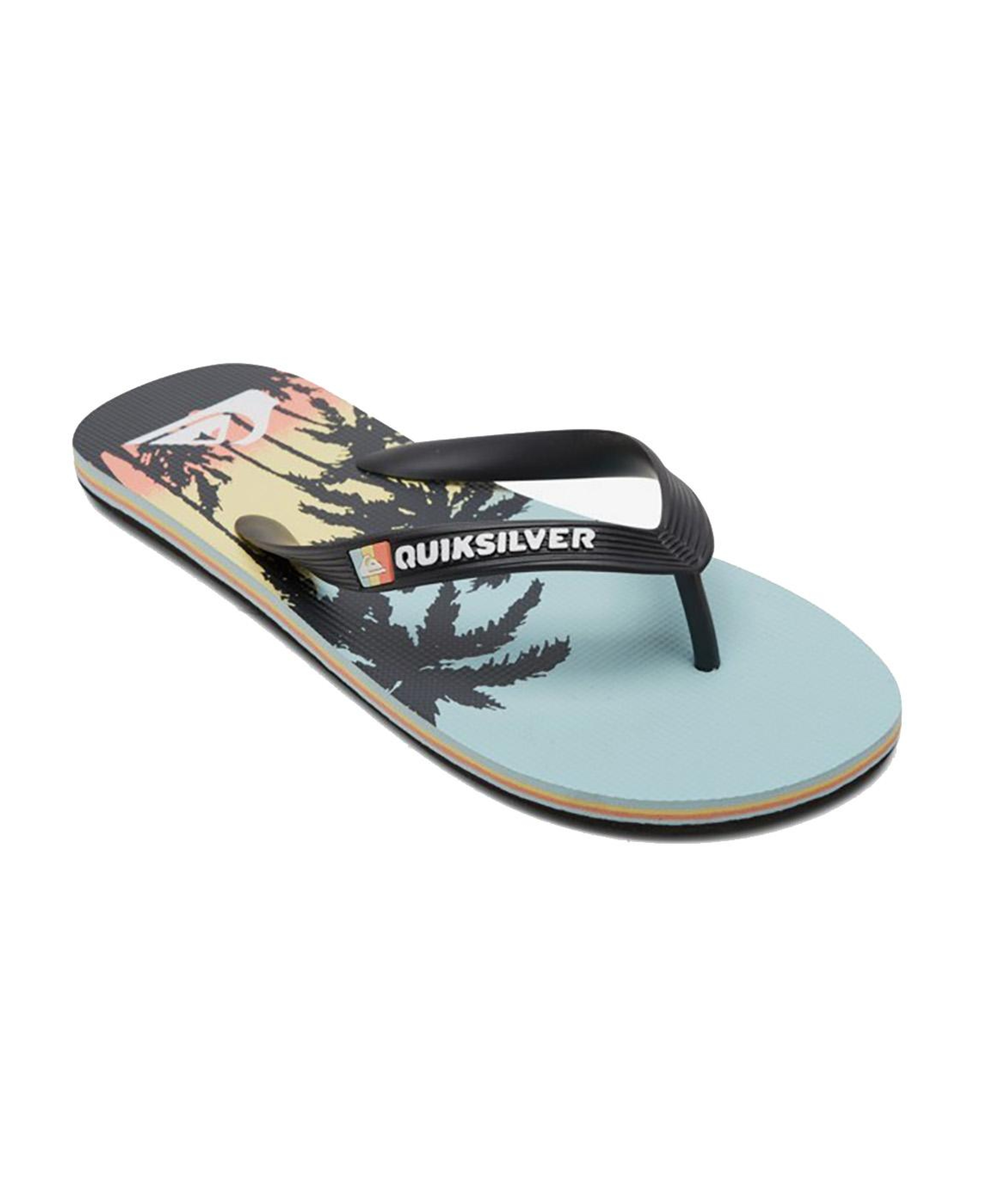 Quiksilver Molokai Art Erkek Mavi Terlik