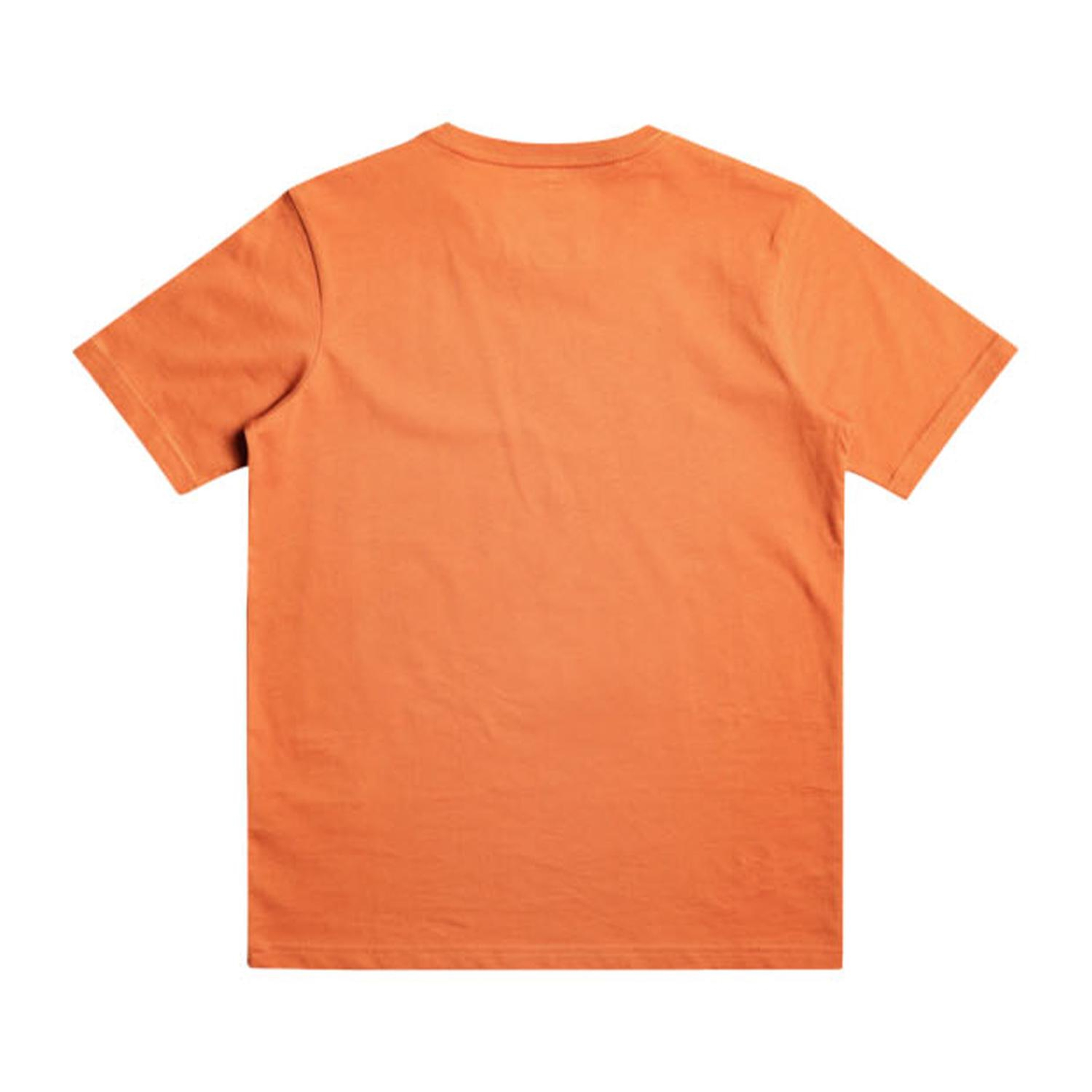 Quiksilver Qs Surf Lockup Erkek Çocuk Tişört