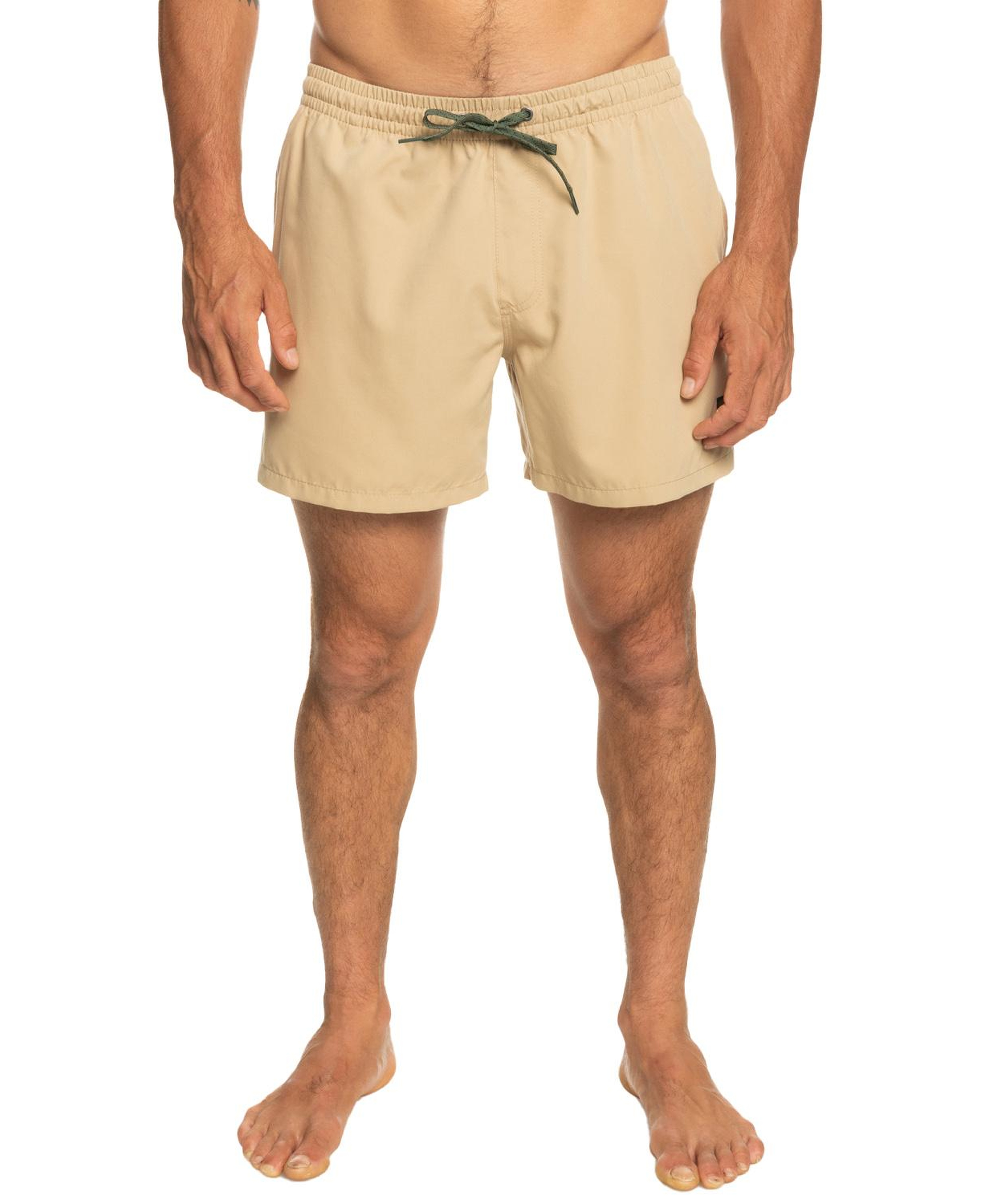 Quiksilver Everyday 15 Jamv Erkek Bej Volley Short