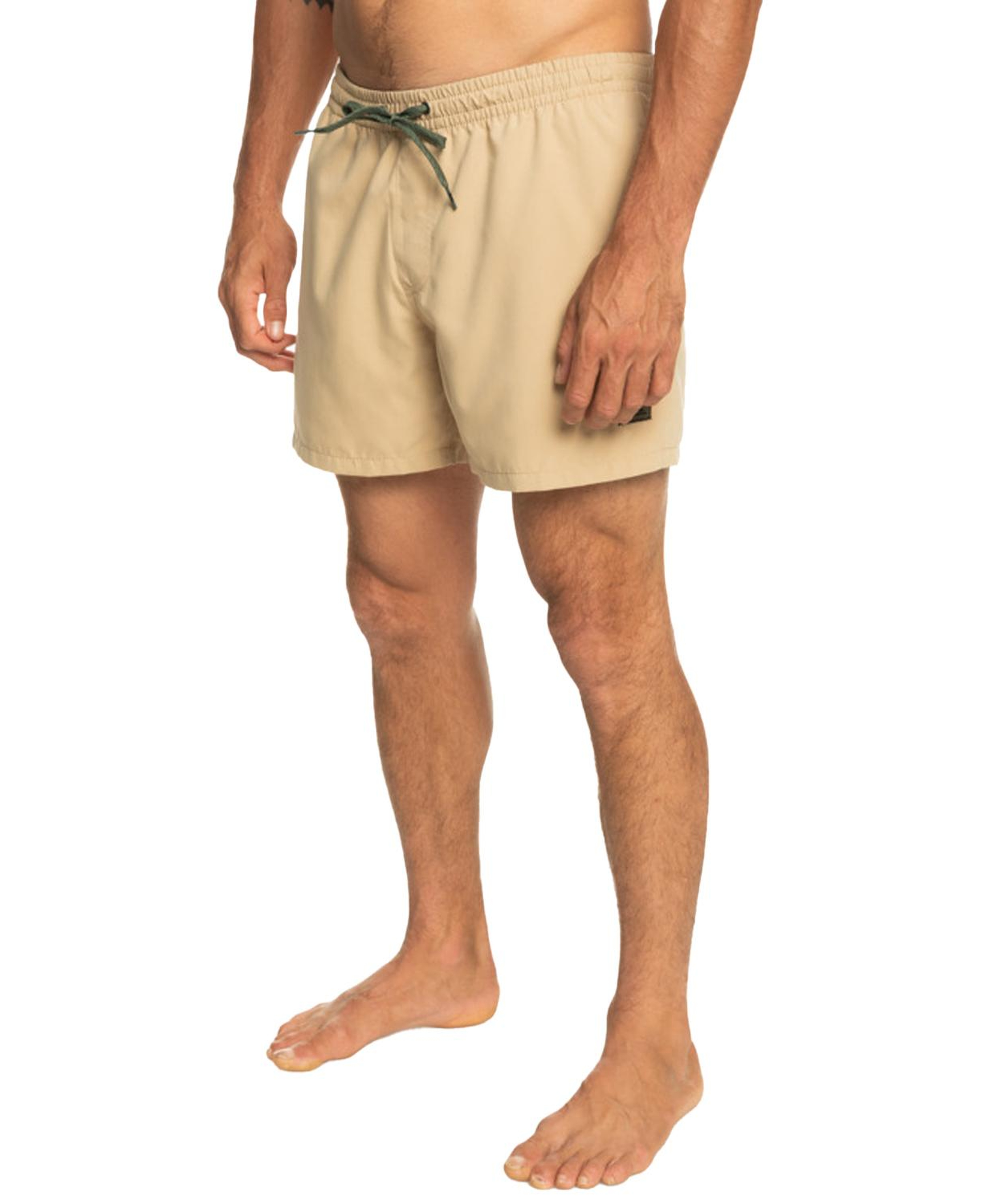 Quiksilver Everyday 15 Jamv Erkek Bej Volley Short