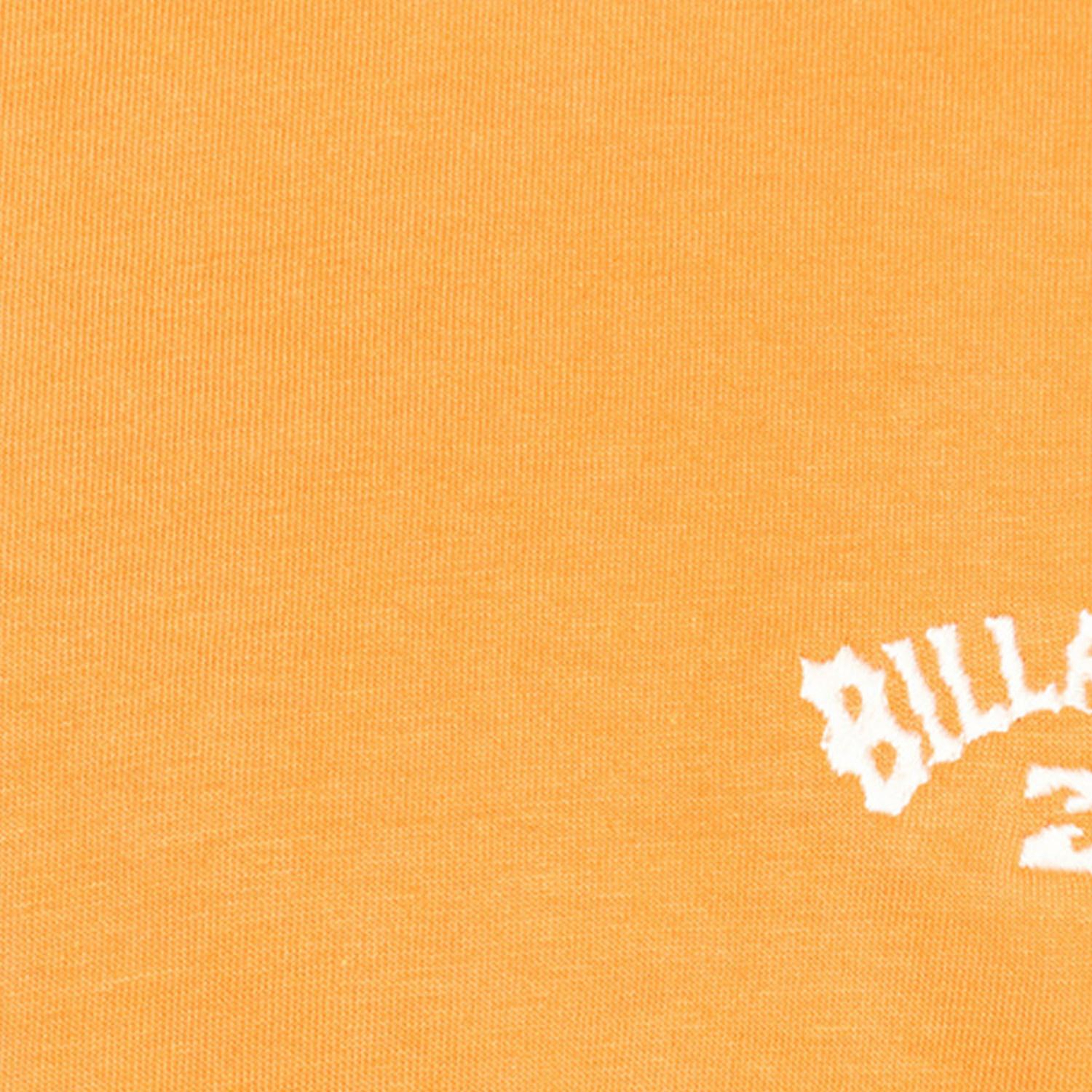 Billabong Arch Crew Erkek Tişört