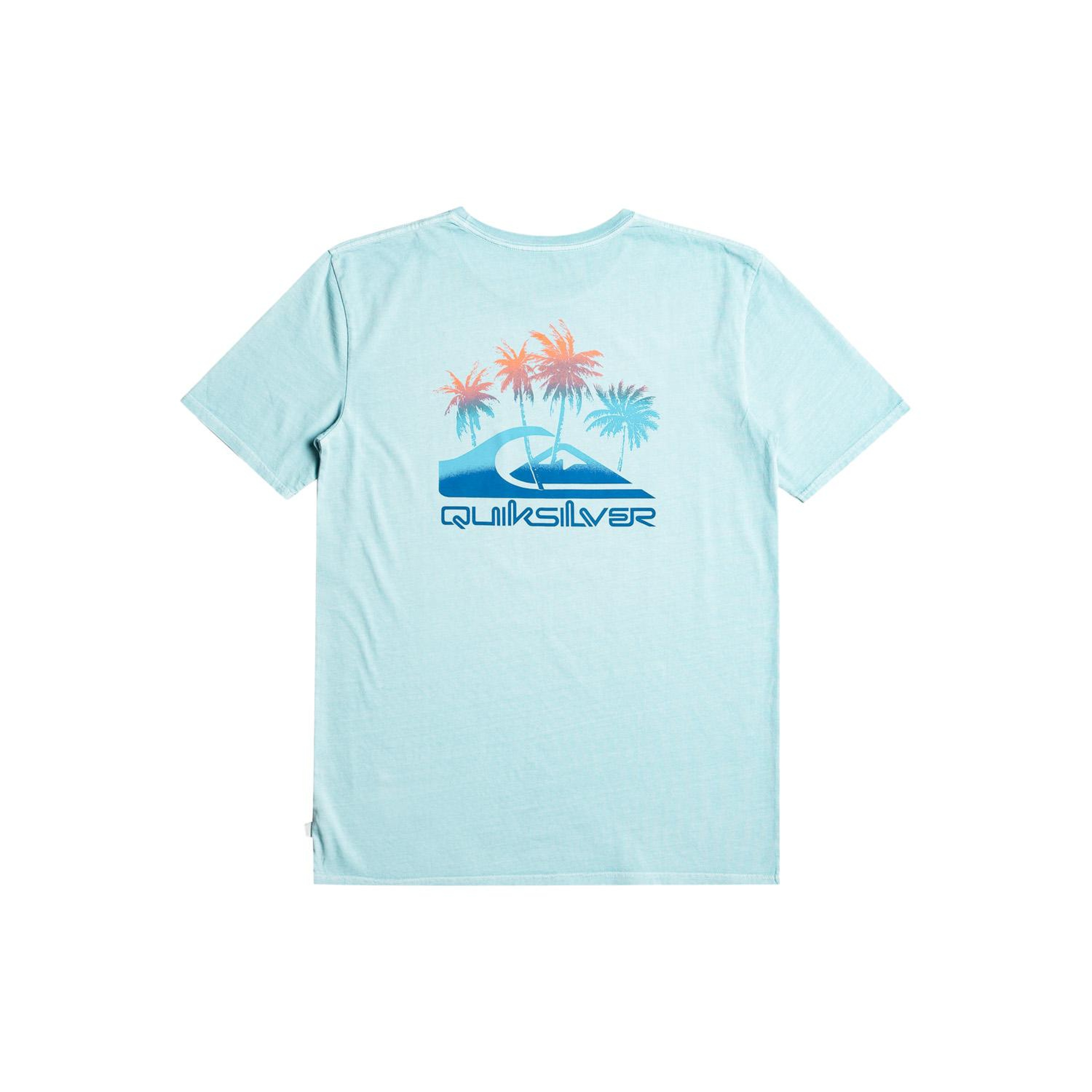 Quiksilver Pastimeparadise Erkek Mavi Tişört